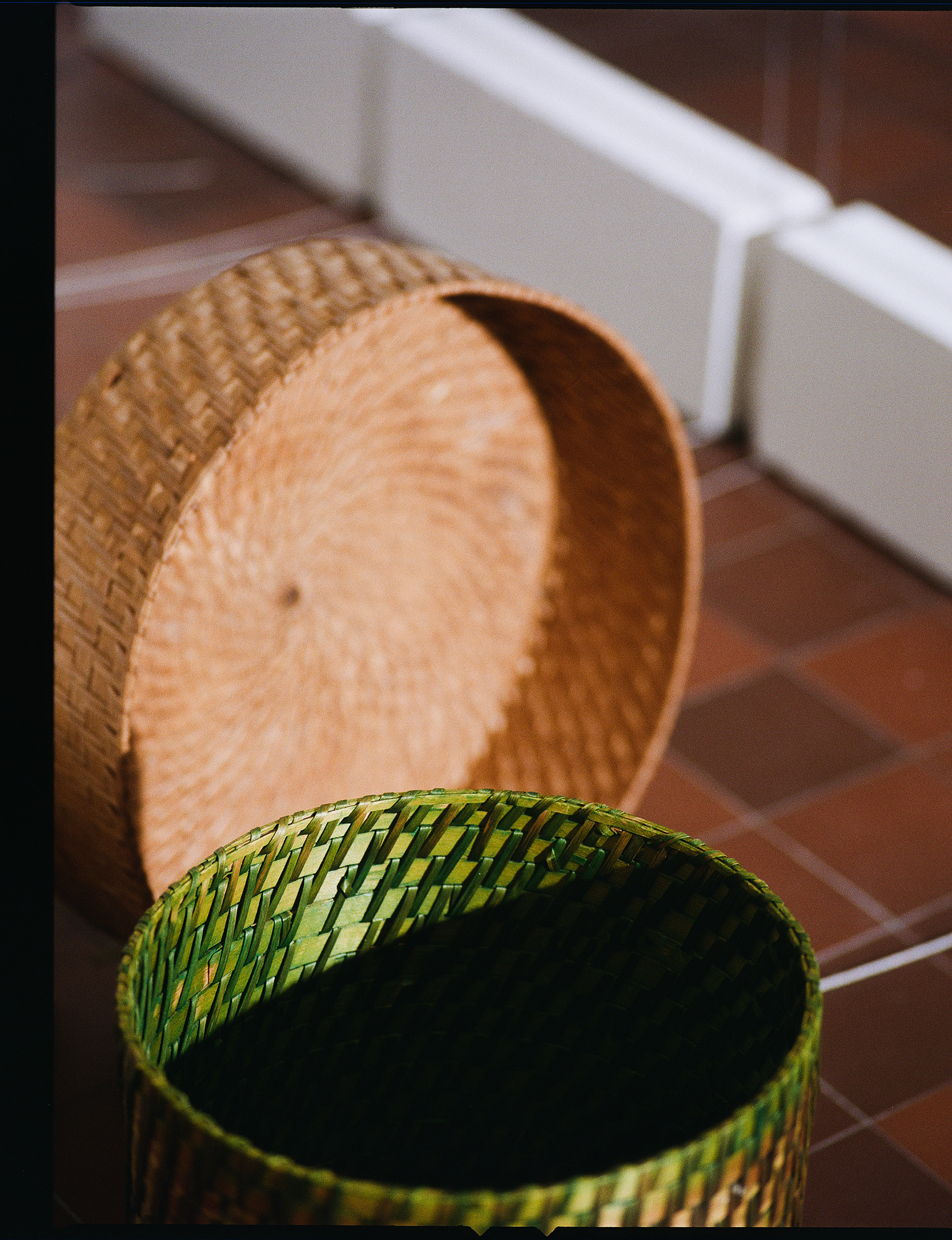 © Alexis Rodríguez Cancino. All Rights Reserved.