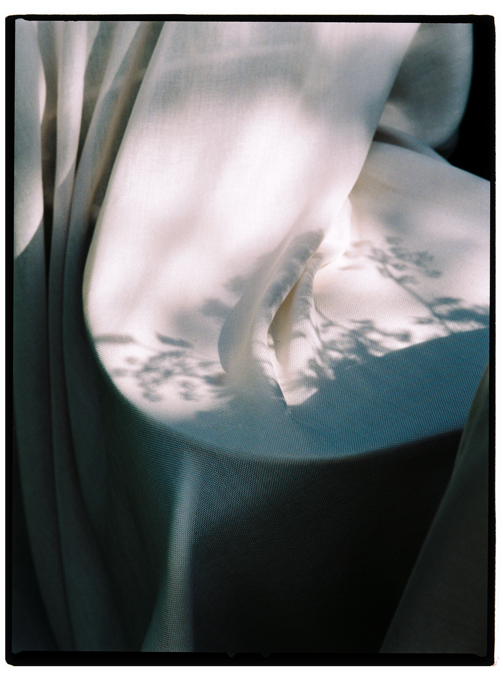 © Alexis Rodríguez Cancino. All Rights Reserved.