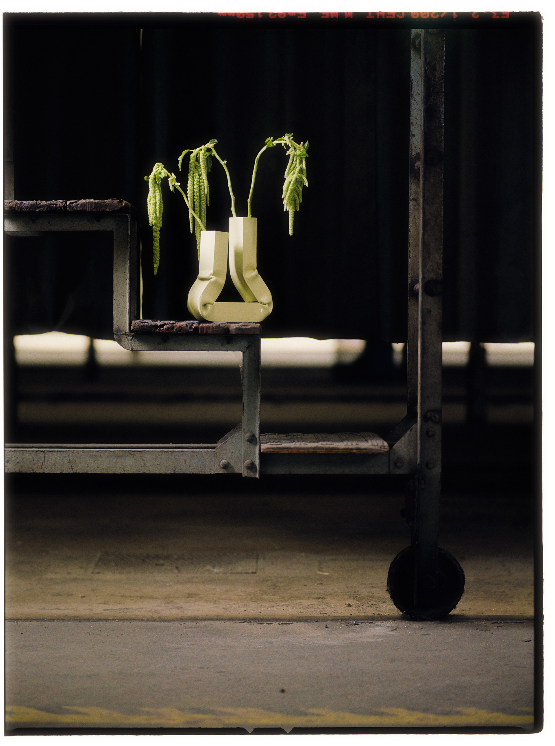 © Alexis Rodríguez Cancino. All Rights Reserved.