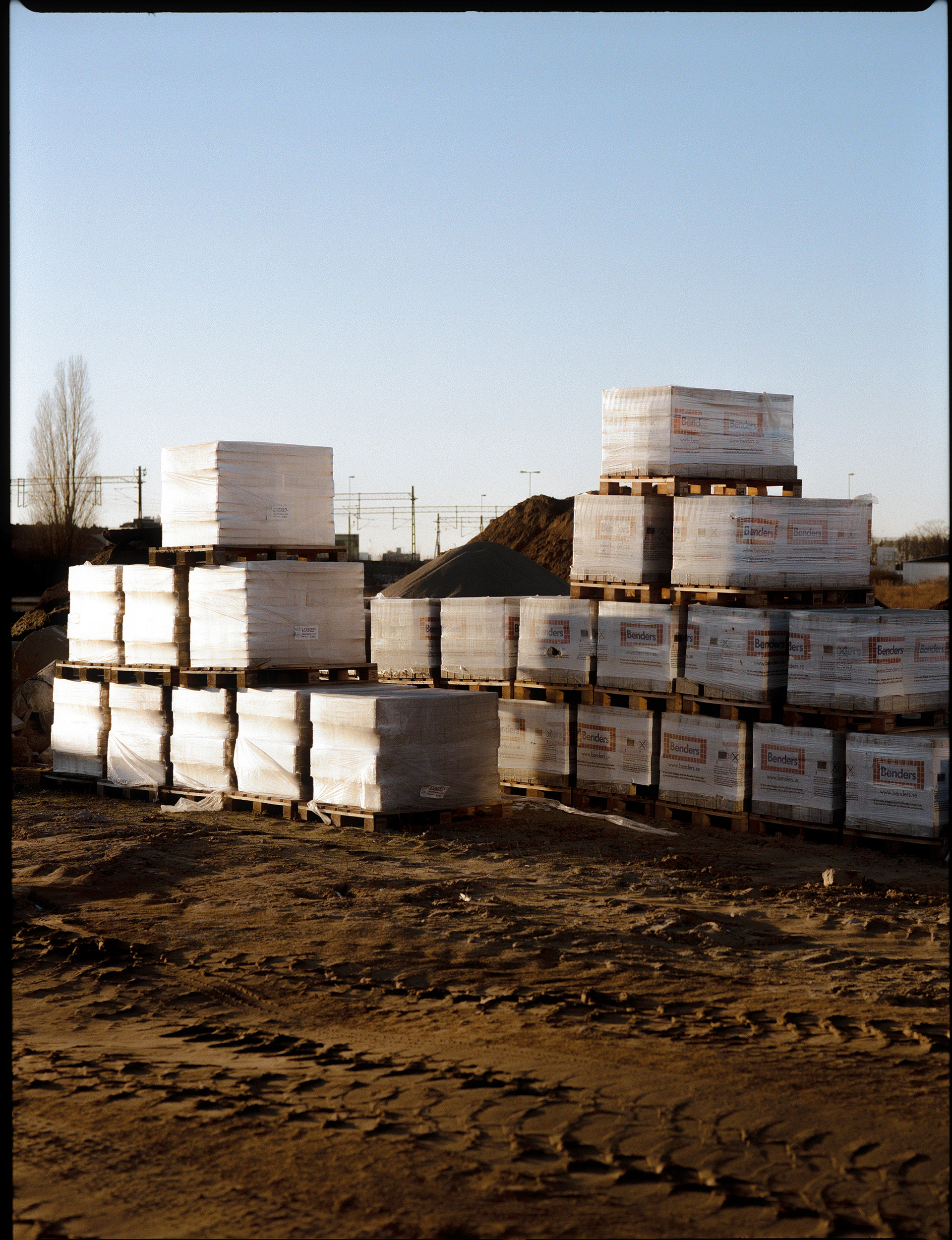 © Alexis Rodríguez Cancino. All Rights Reserved.