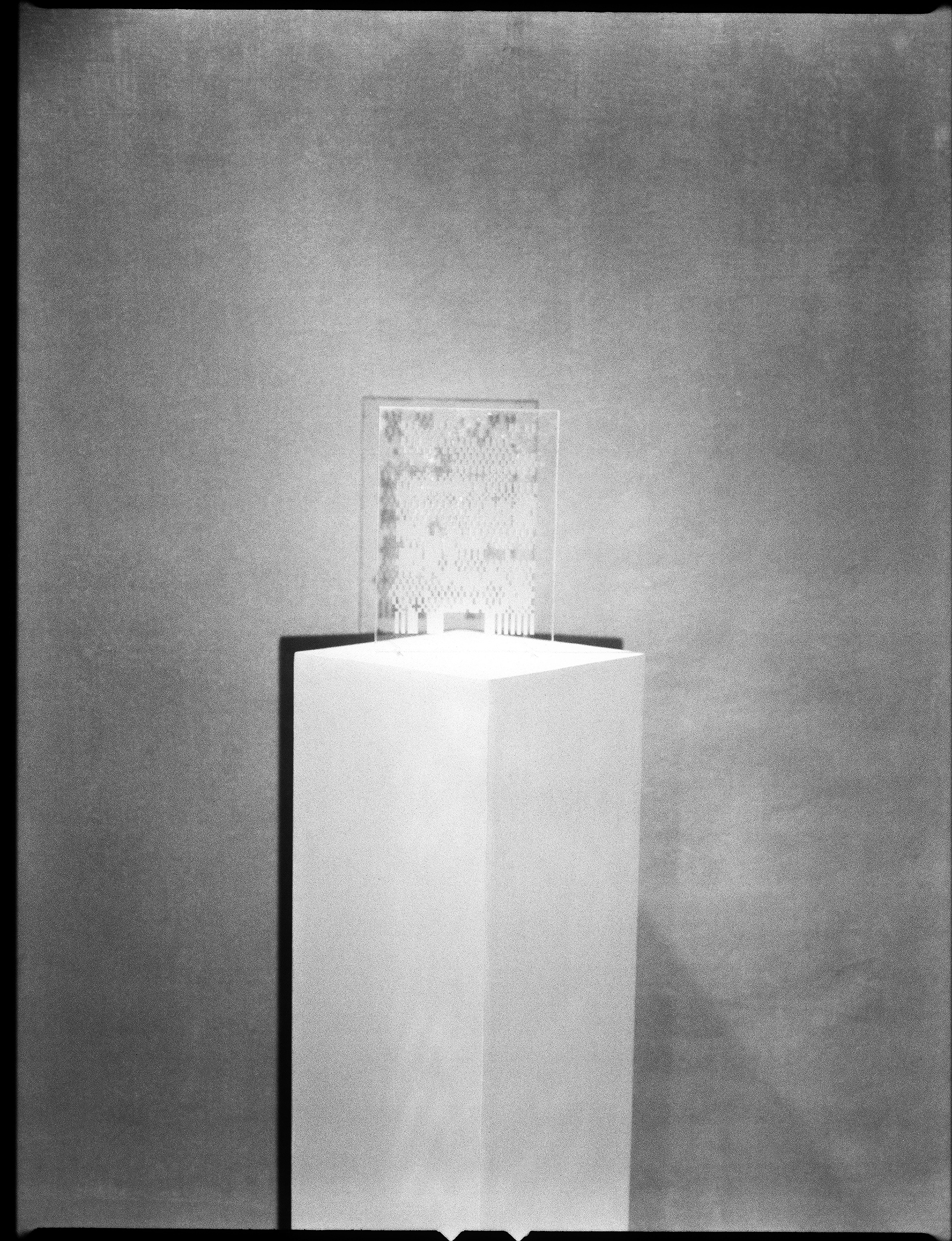 © Alexis Rodríguez Cancino. All Rights Reserved.