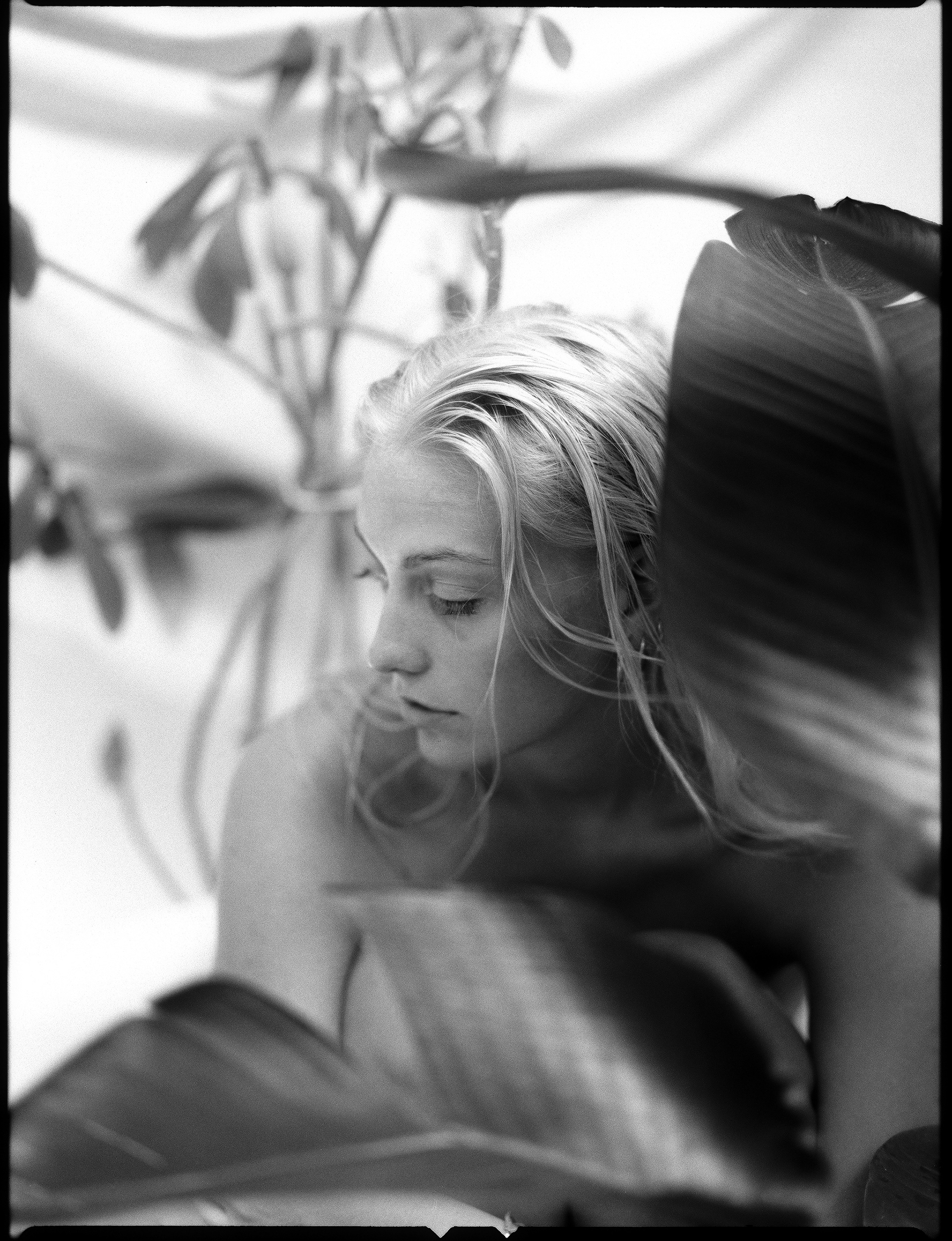 © Alexis Rodríguez Cancino. All Rights Reserved.