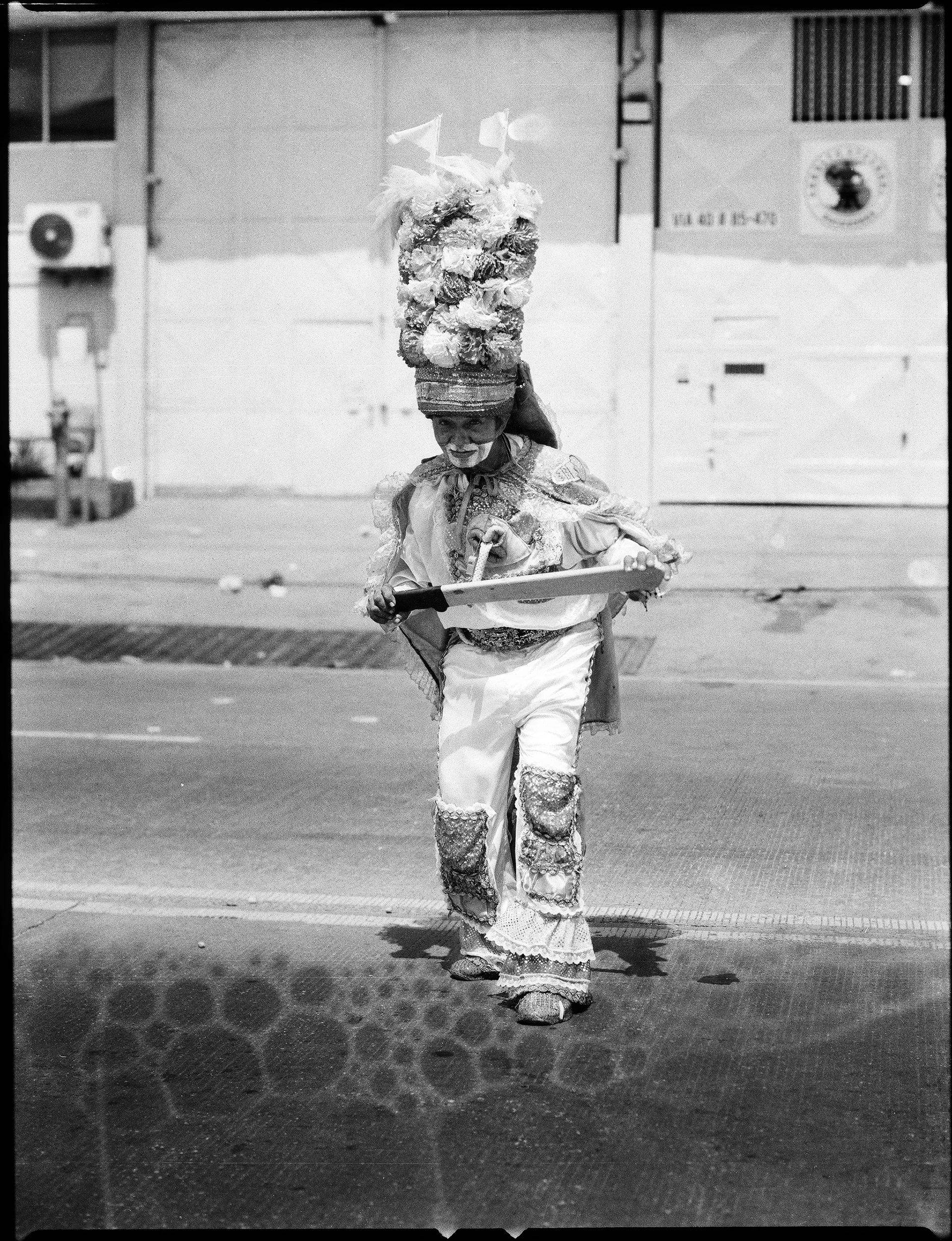 © Alexis Rodríguez Cancino. All Rights Reserved.