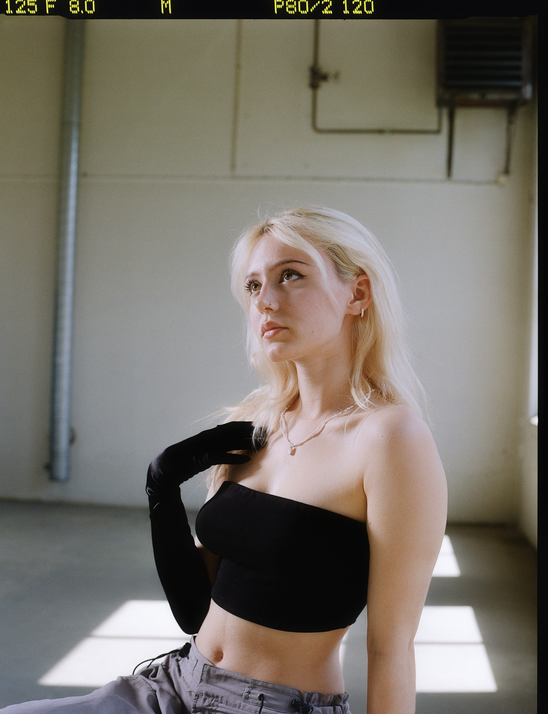 © Alexis Rodríguez Cancino. All Rights Reserved.