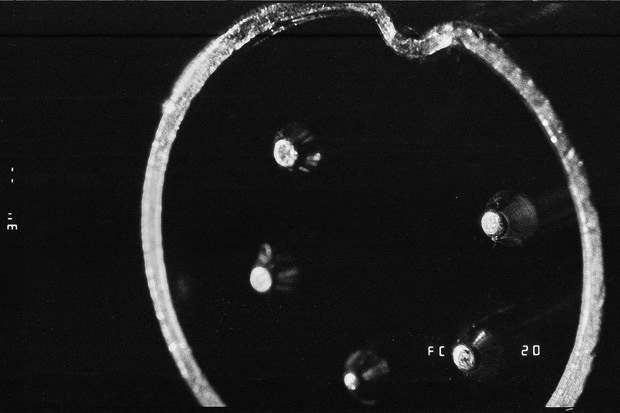 © Alexis Rodríguez Cancino. All Rights Reserved.