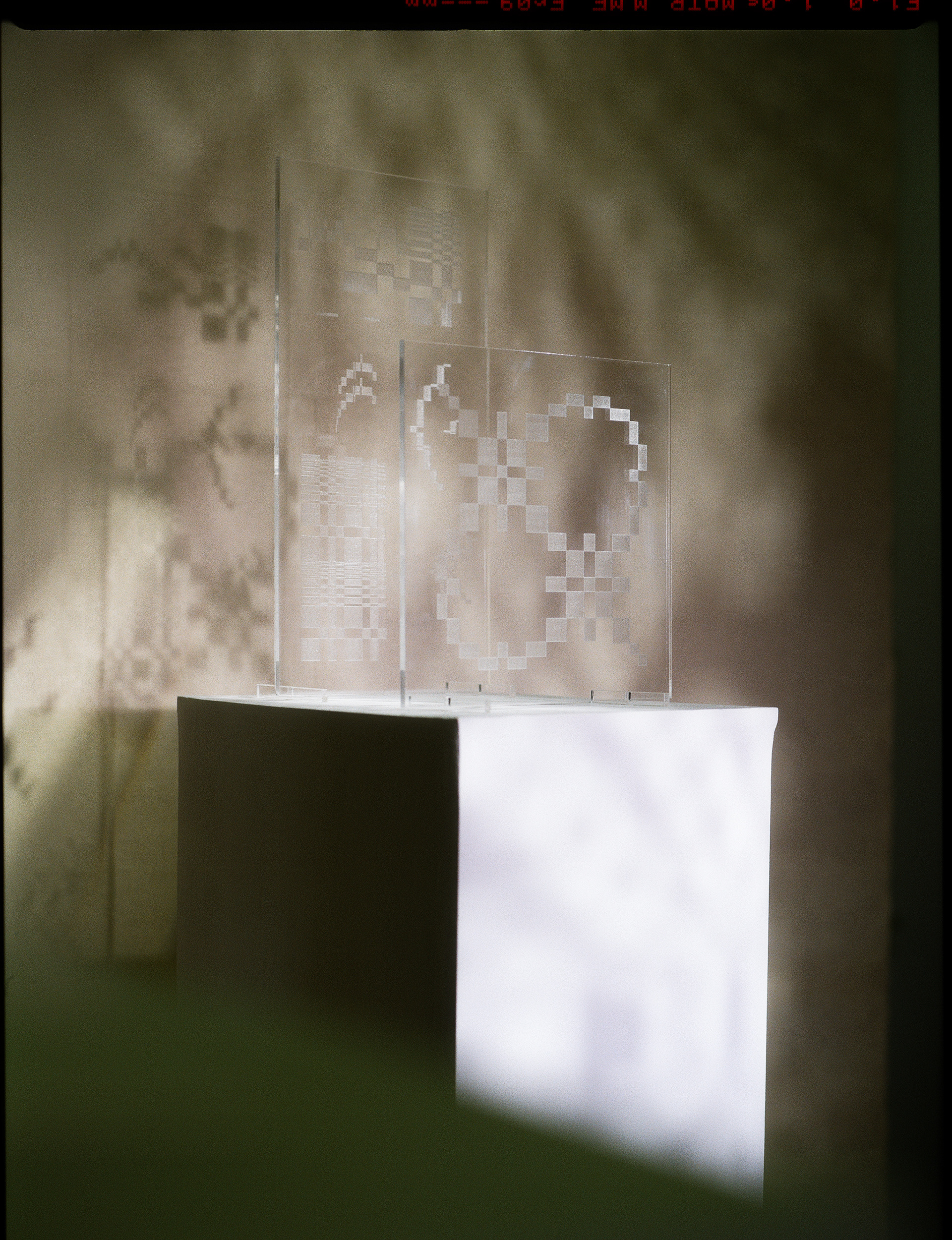 © Alexis Rodríguez Cancino. All Rights Reserved.