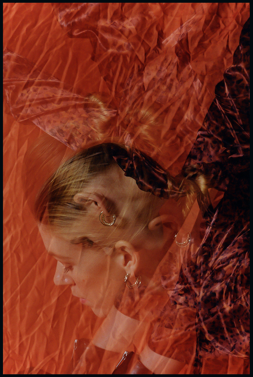 © Alexis Rodríguez Cancino. All Rights Reserved.