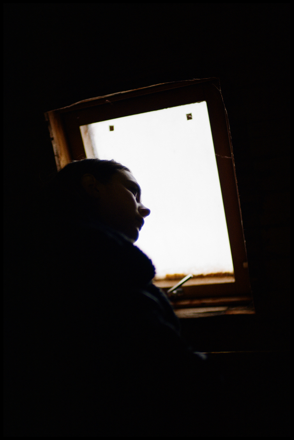 © Alexis Rodríguez Cancino. All Rights Reserved.