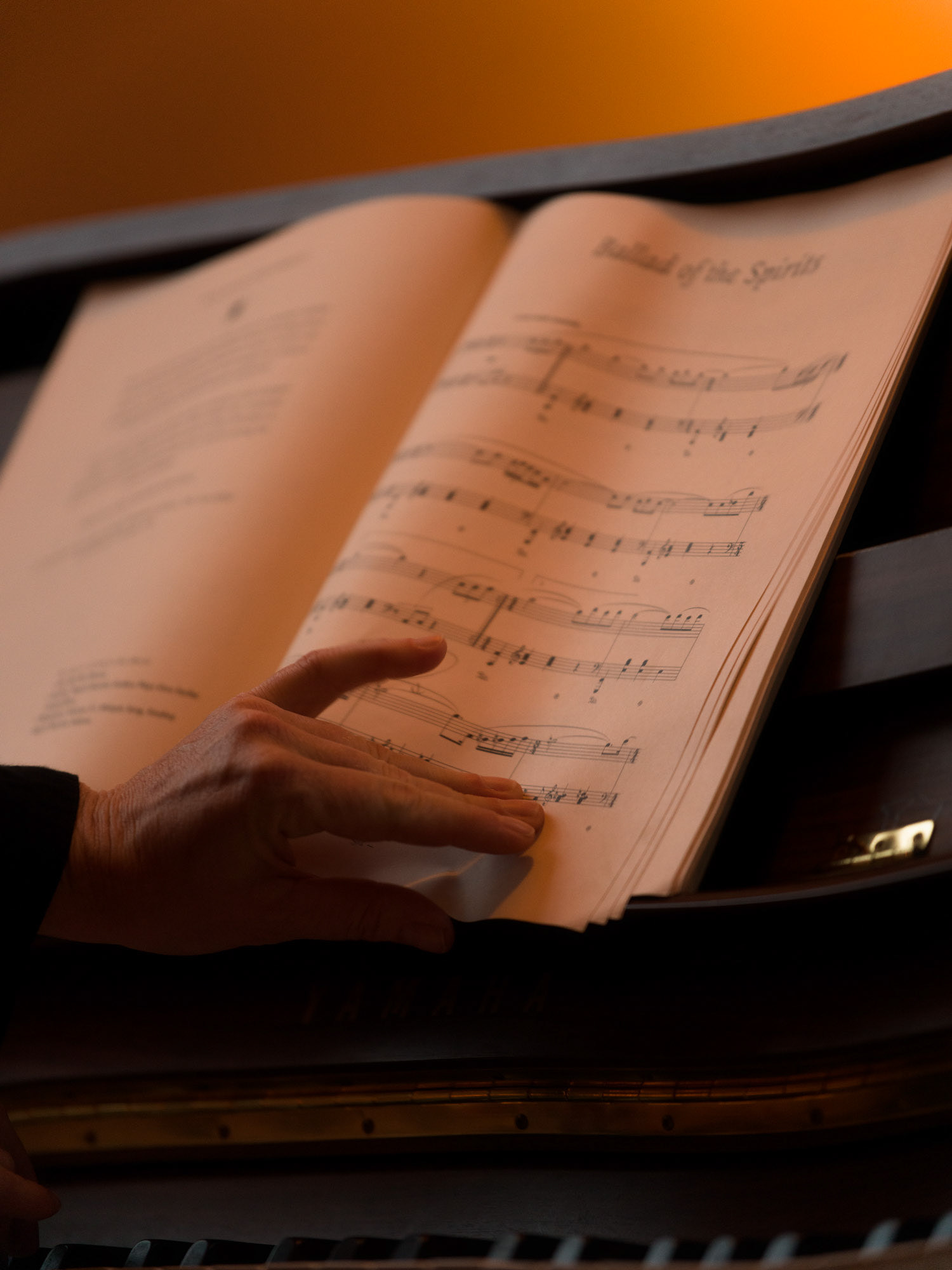 © Alexis Rodríguez Cancino. All Rights Reserved.