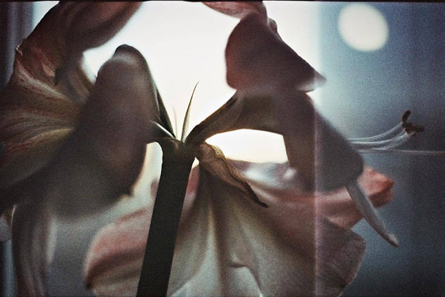 © Alexis Rodríguez Cancino. All Rights Reserved.