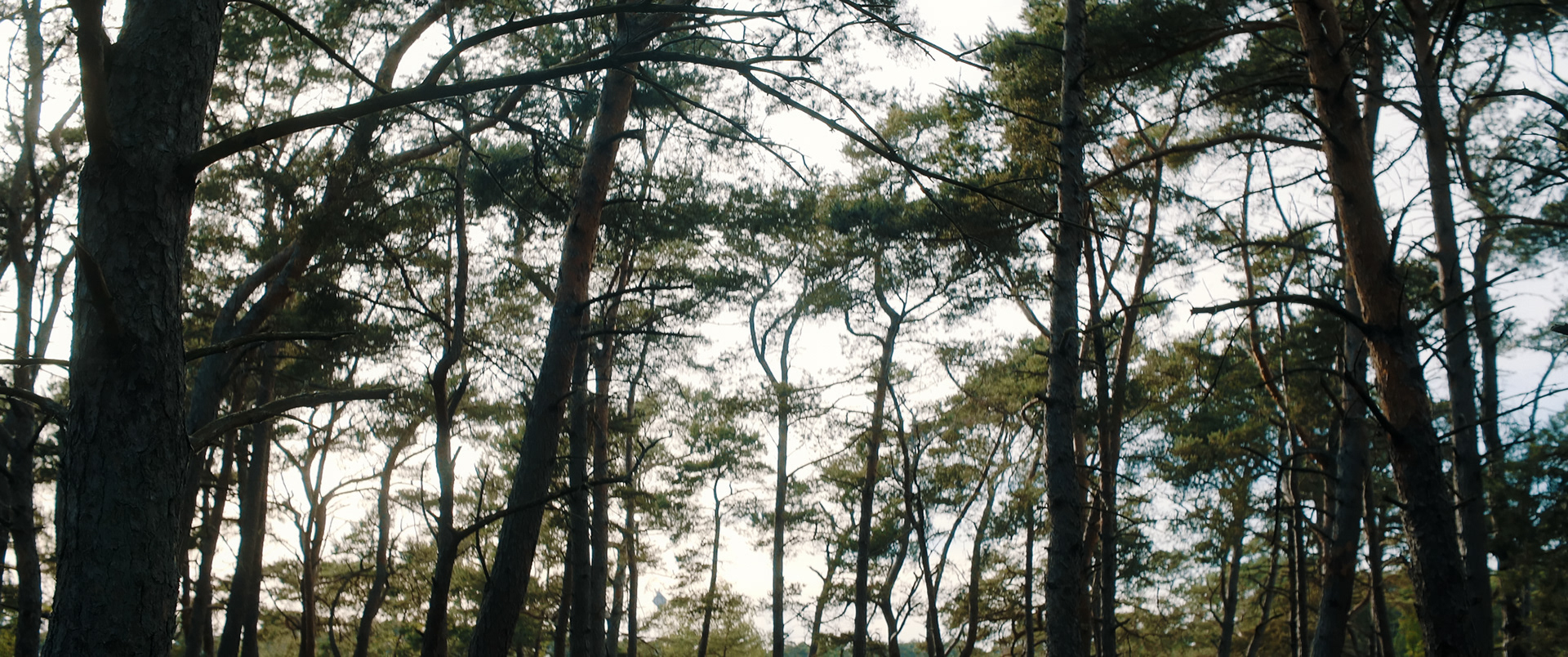 AdeY: Behind the Scenes - Falsterbo, 2019