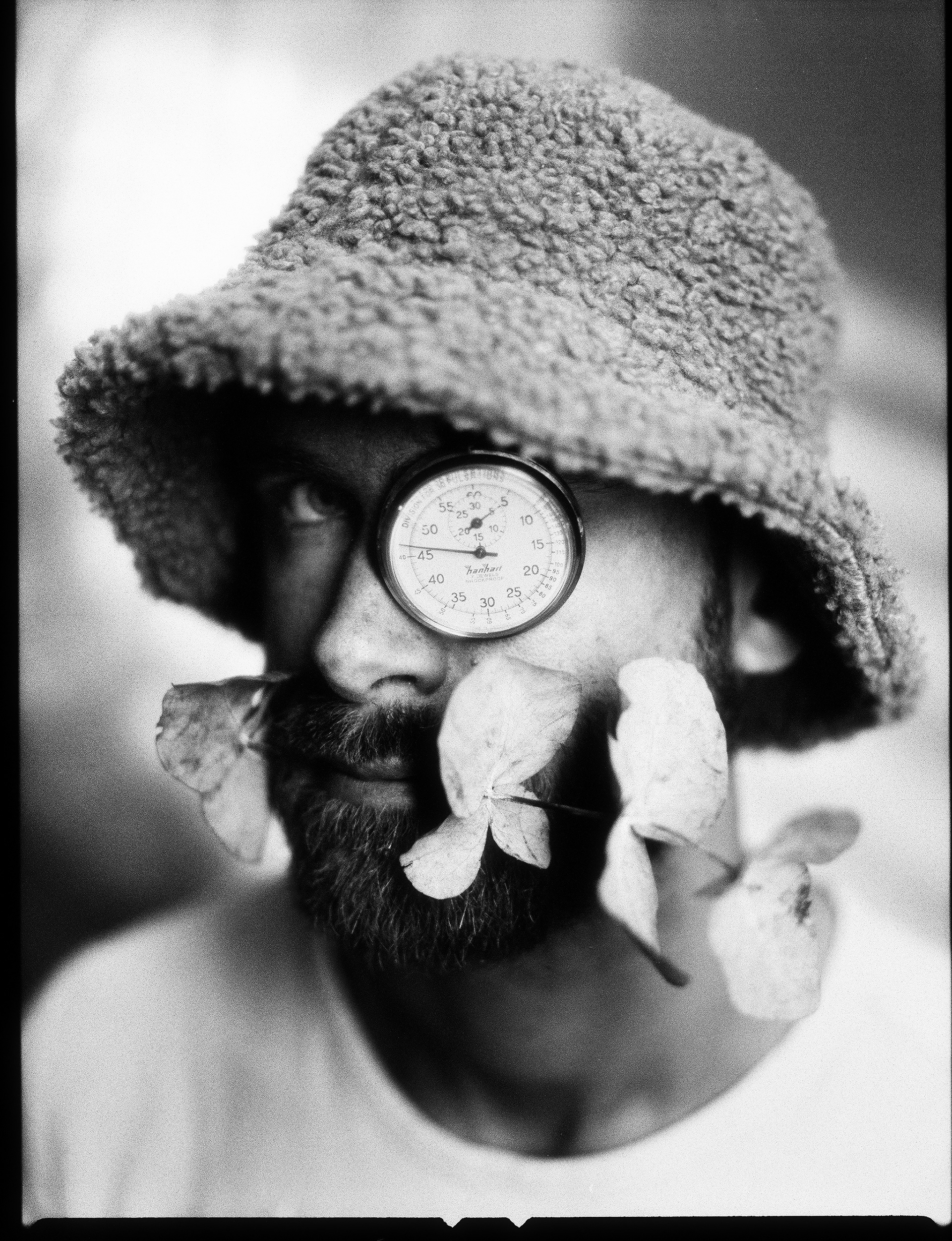 © Alexis Rodríguez Cancino. All Rights Reserved.