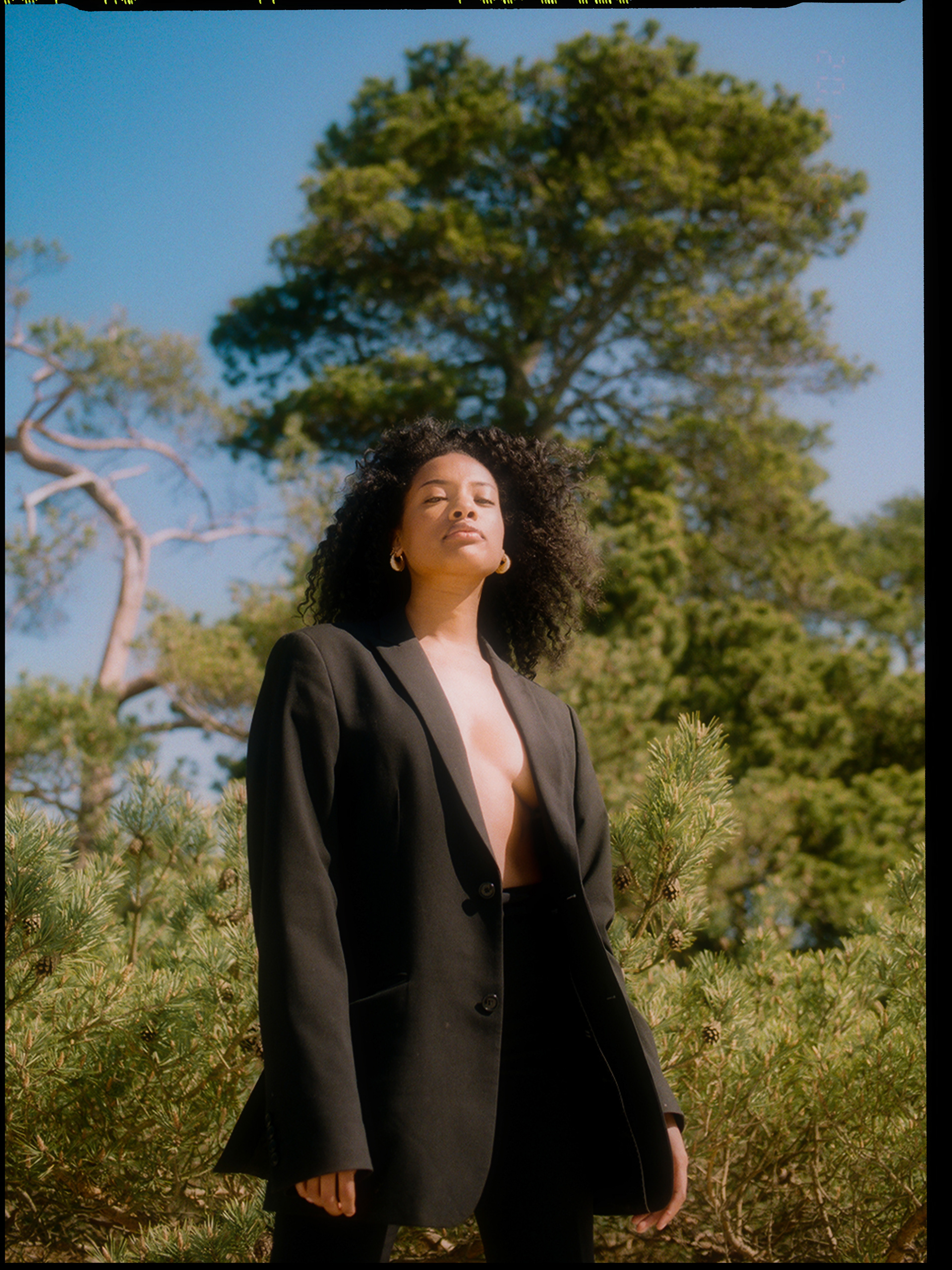 © Alexis Rodríguez Cancino. All Rights Reserved.