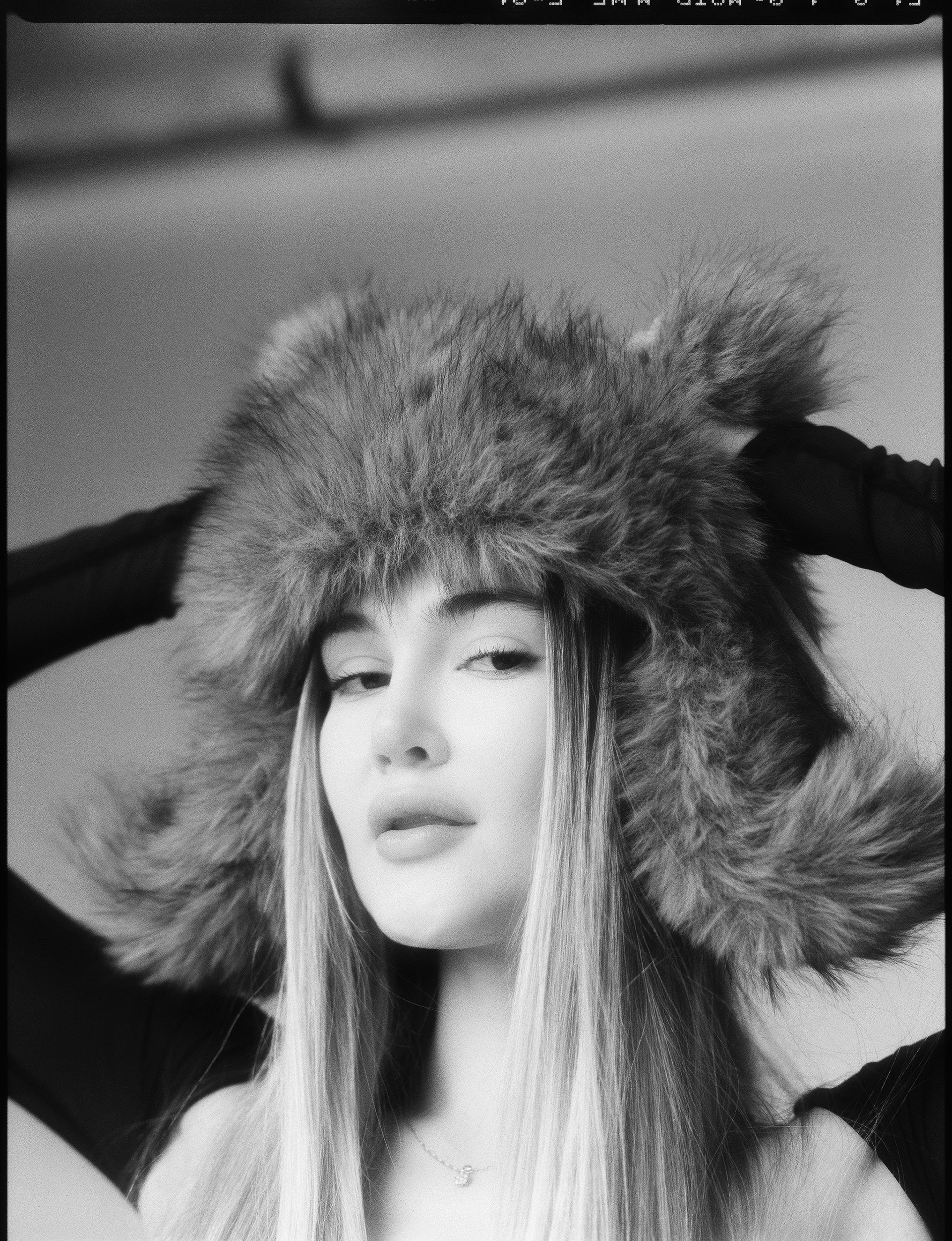 © Alexis Rodríguez Cancino. All Rights Reserved.