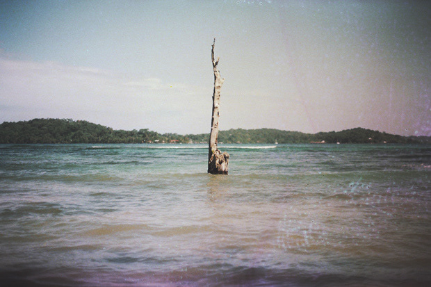 © Alexis Rodríguez Cancino. All Rights Reserved.