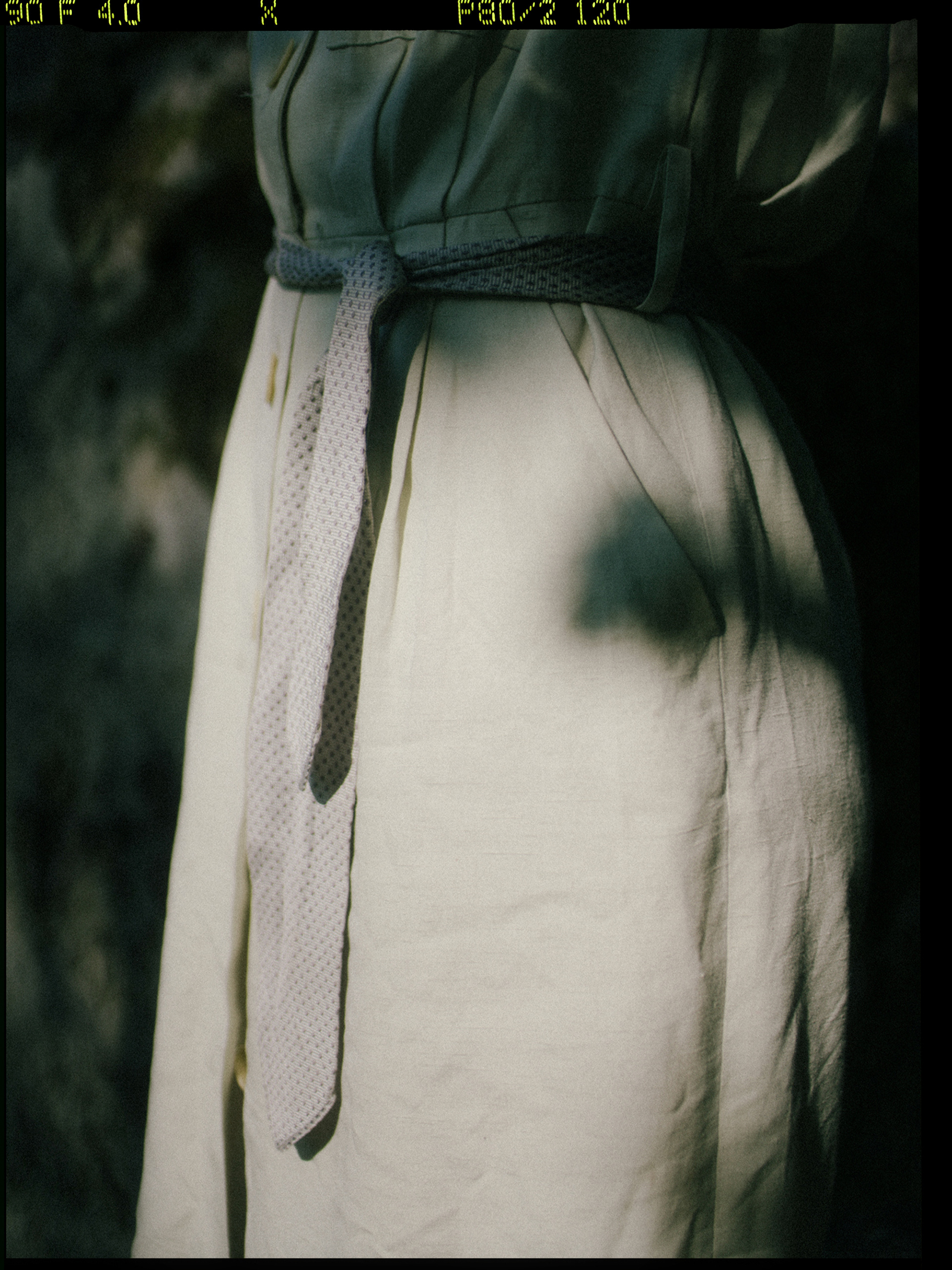 © Alexis Rodríguez Cancino. All Rights Reserved.