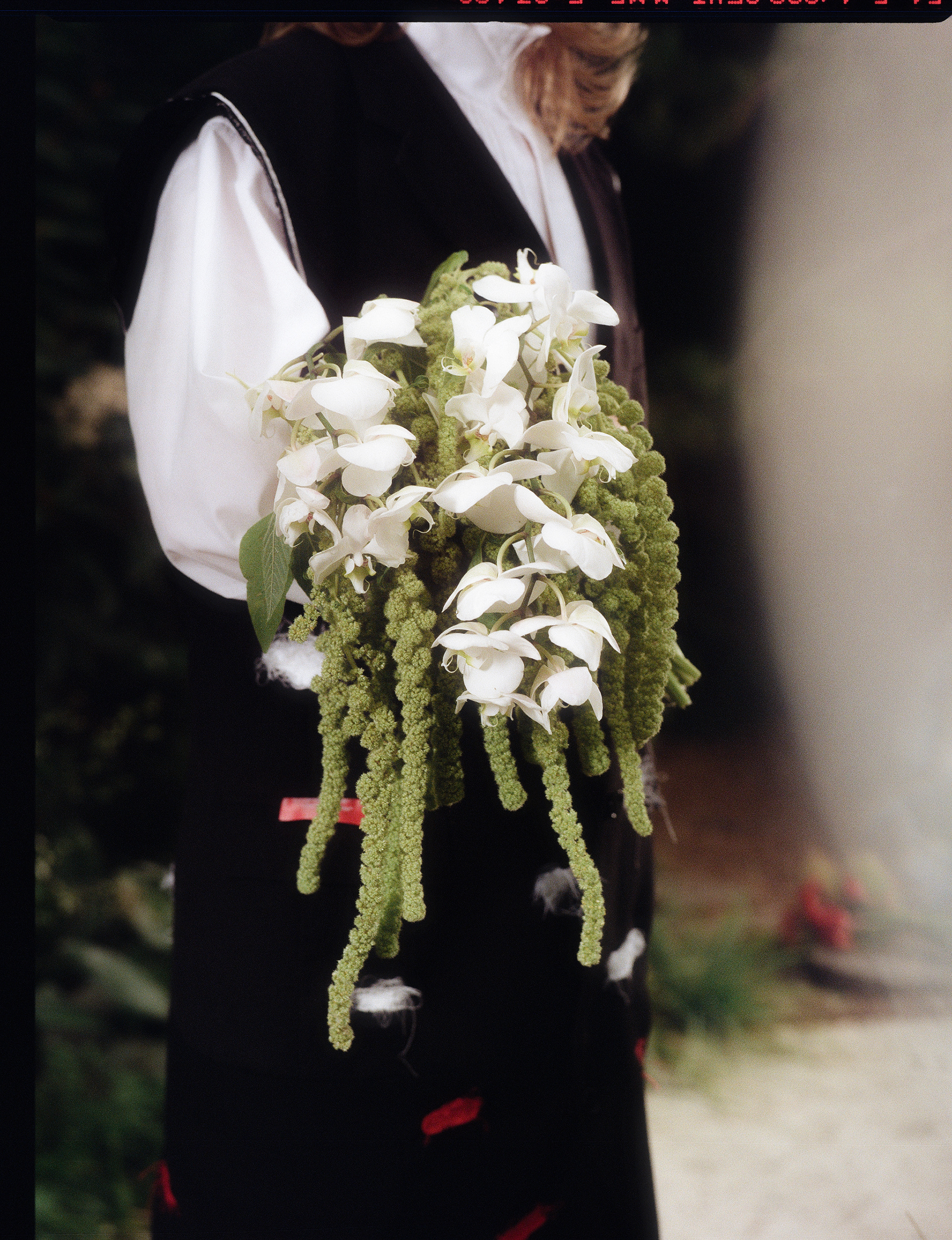 © Alexis Rodríguez Cancino. All Rights Reserved.