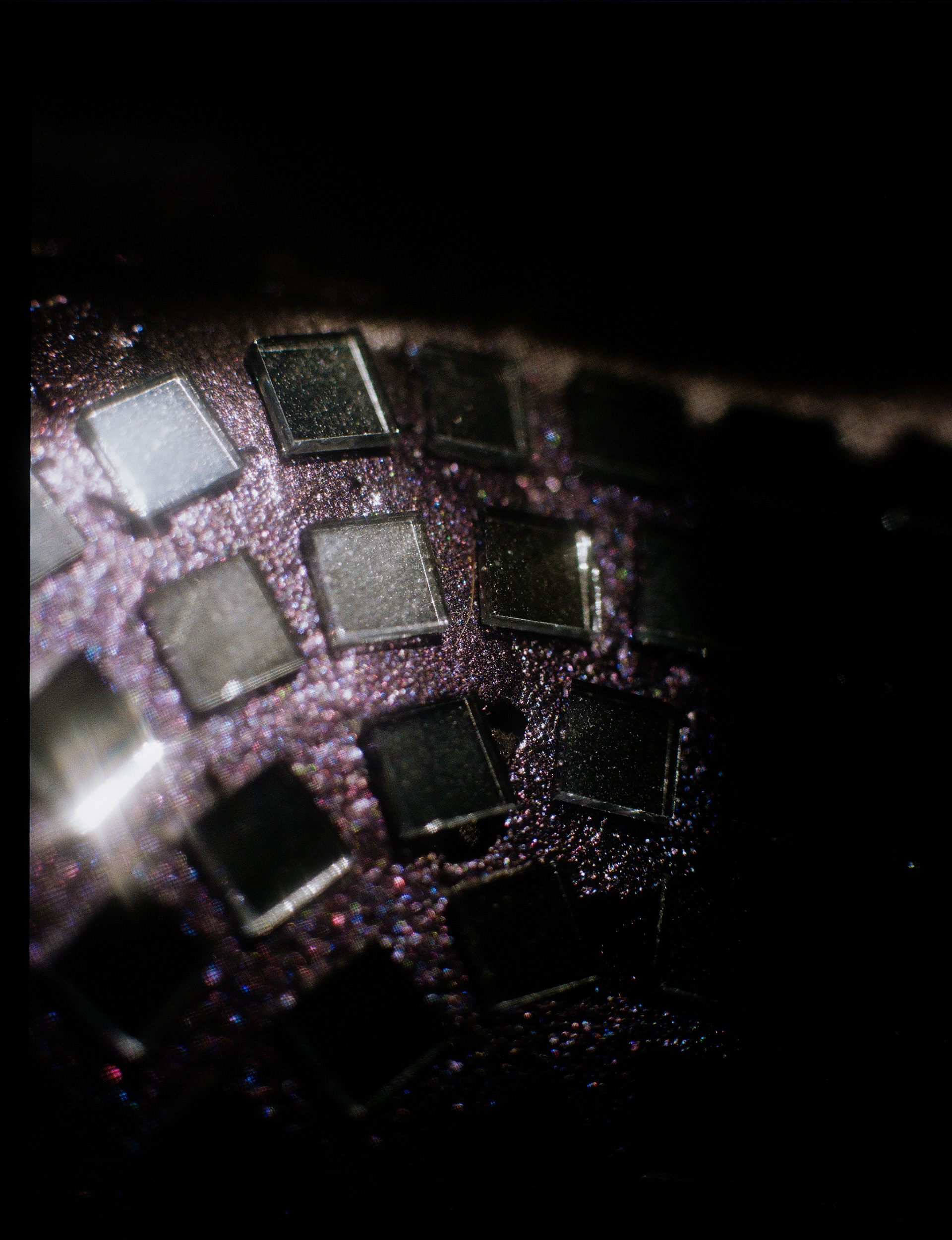 © Alexis Rodríguez Cancino. All Rights Reserved.