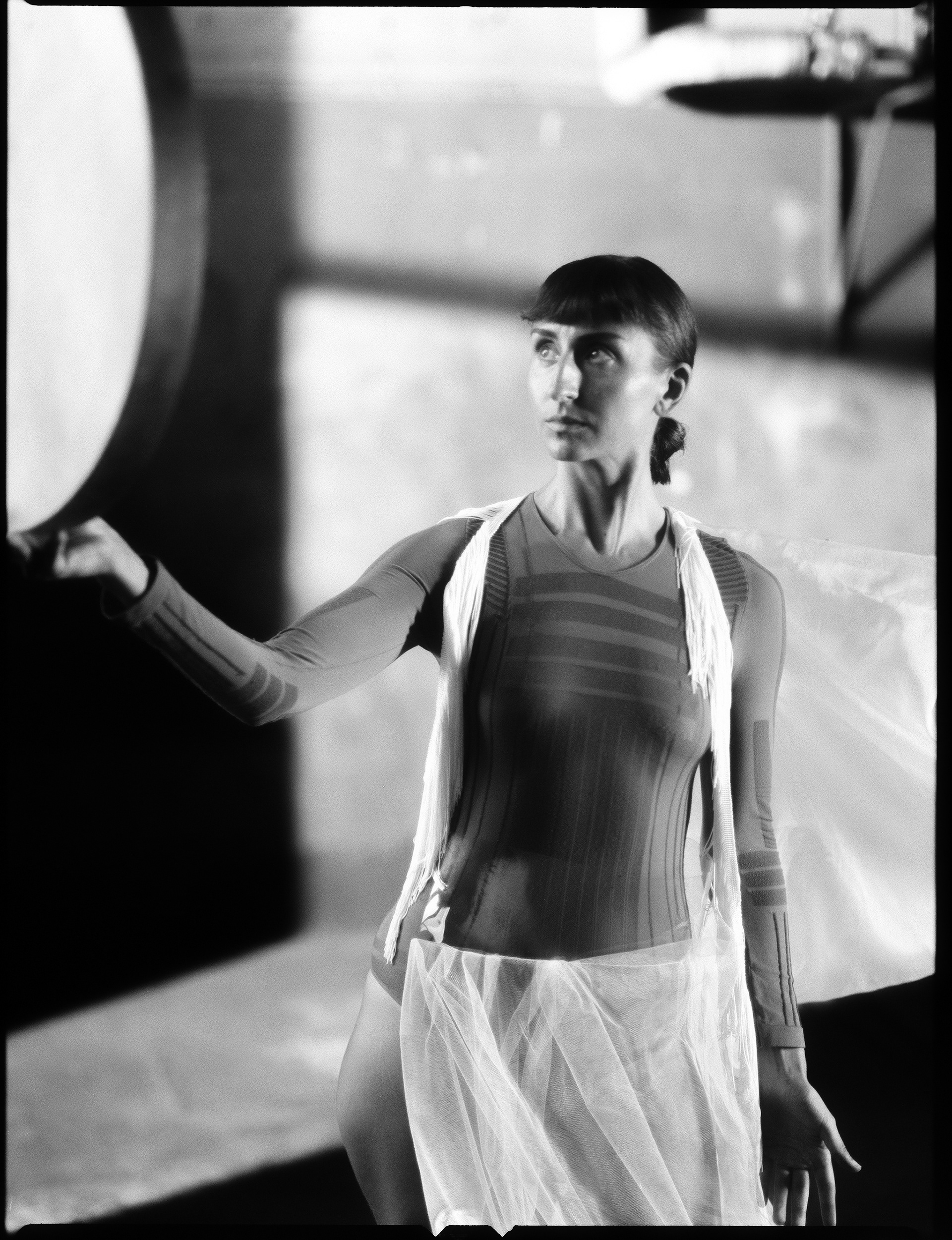 © Alexis Rodríguez Cancino. All Rights Reserved.