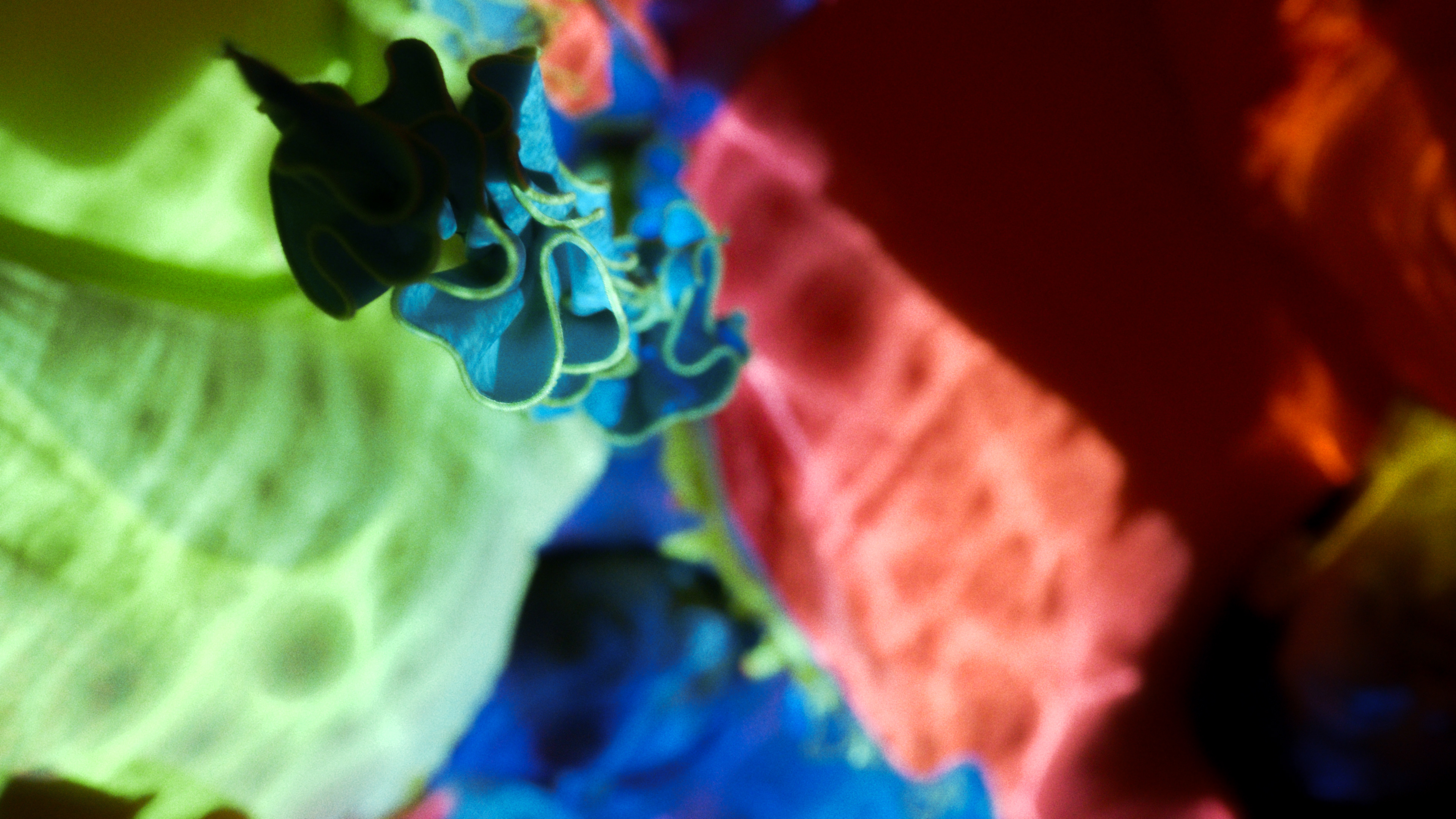 HYPER CORAL - MYKA / Betty Nansen - Edison, Copenhagen, 2025