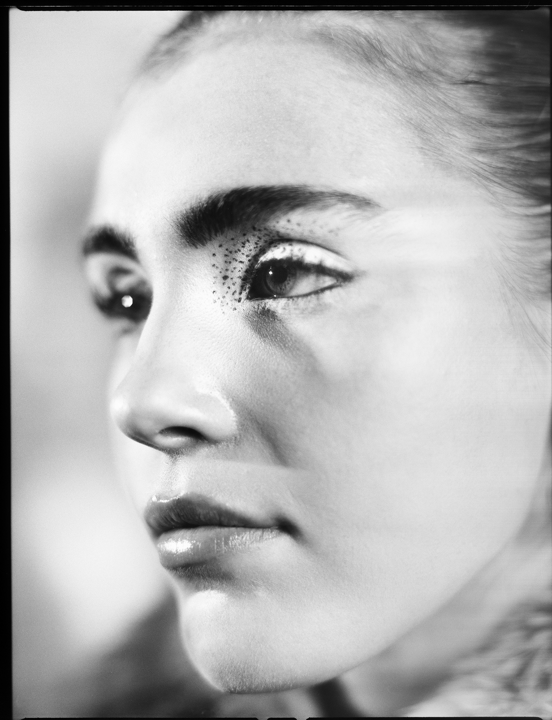 © Alexis Rodríguez Cancino. All Rights Reserved.