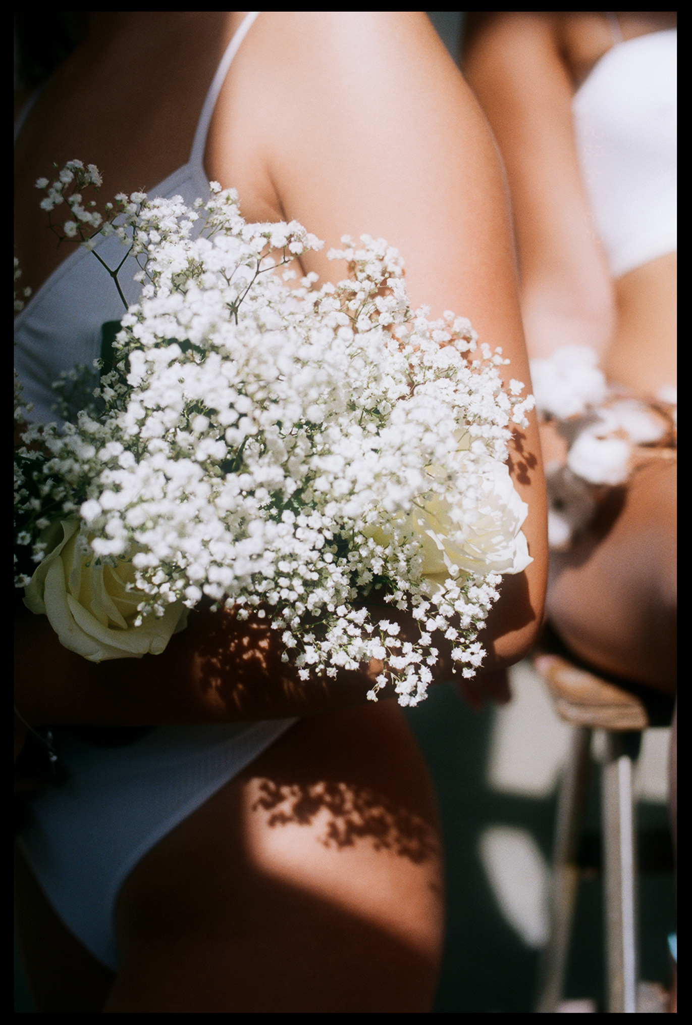 © Alexis Rodríguez Cancino. All Rights Reserved.