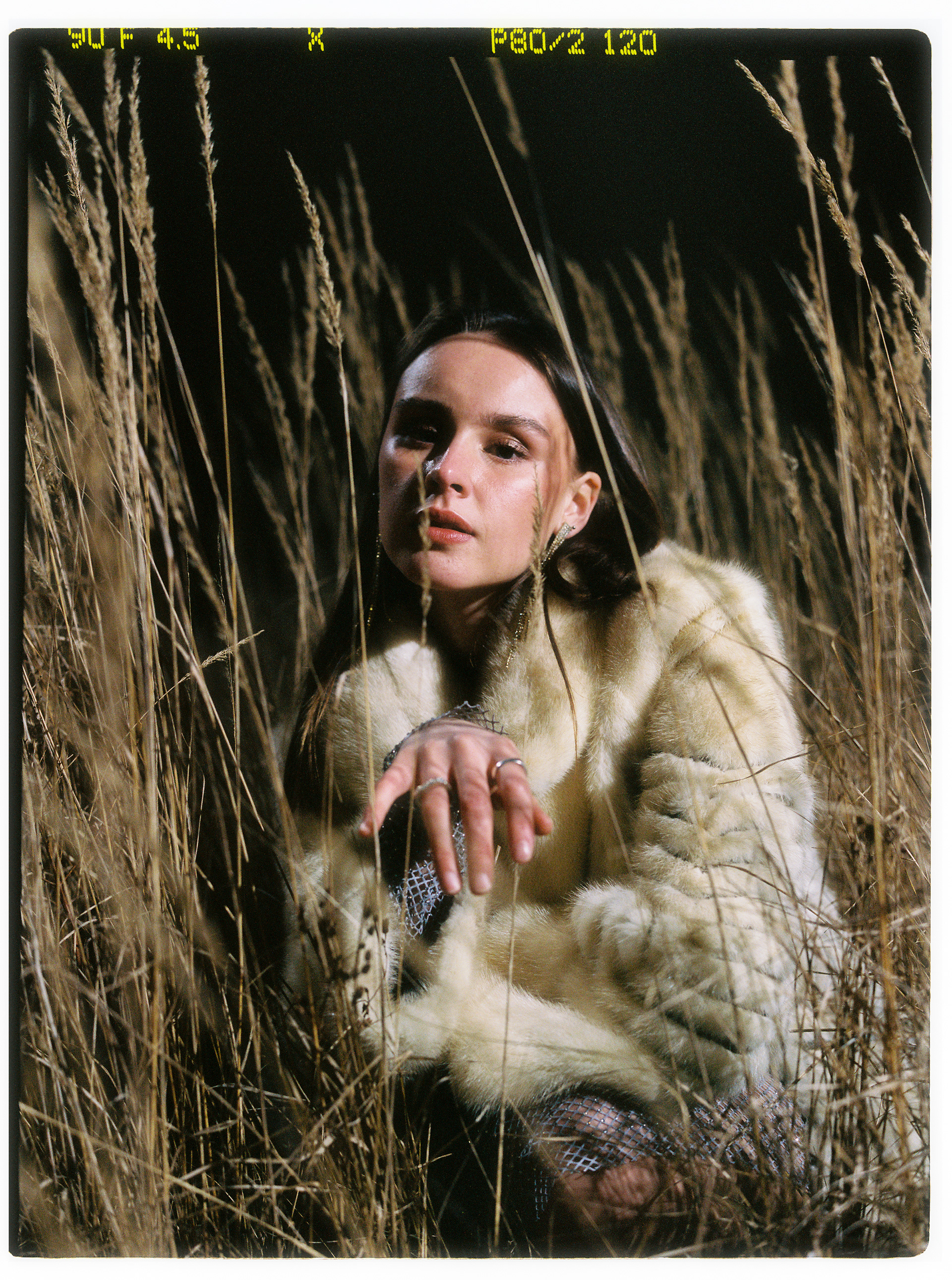 © Alexis Rodríguez Cancino. All Rights Reserved.