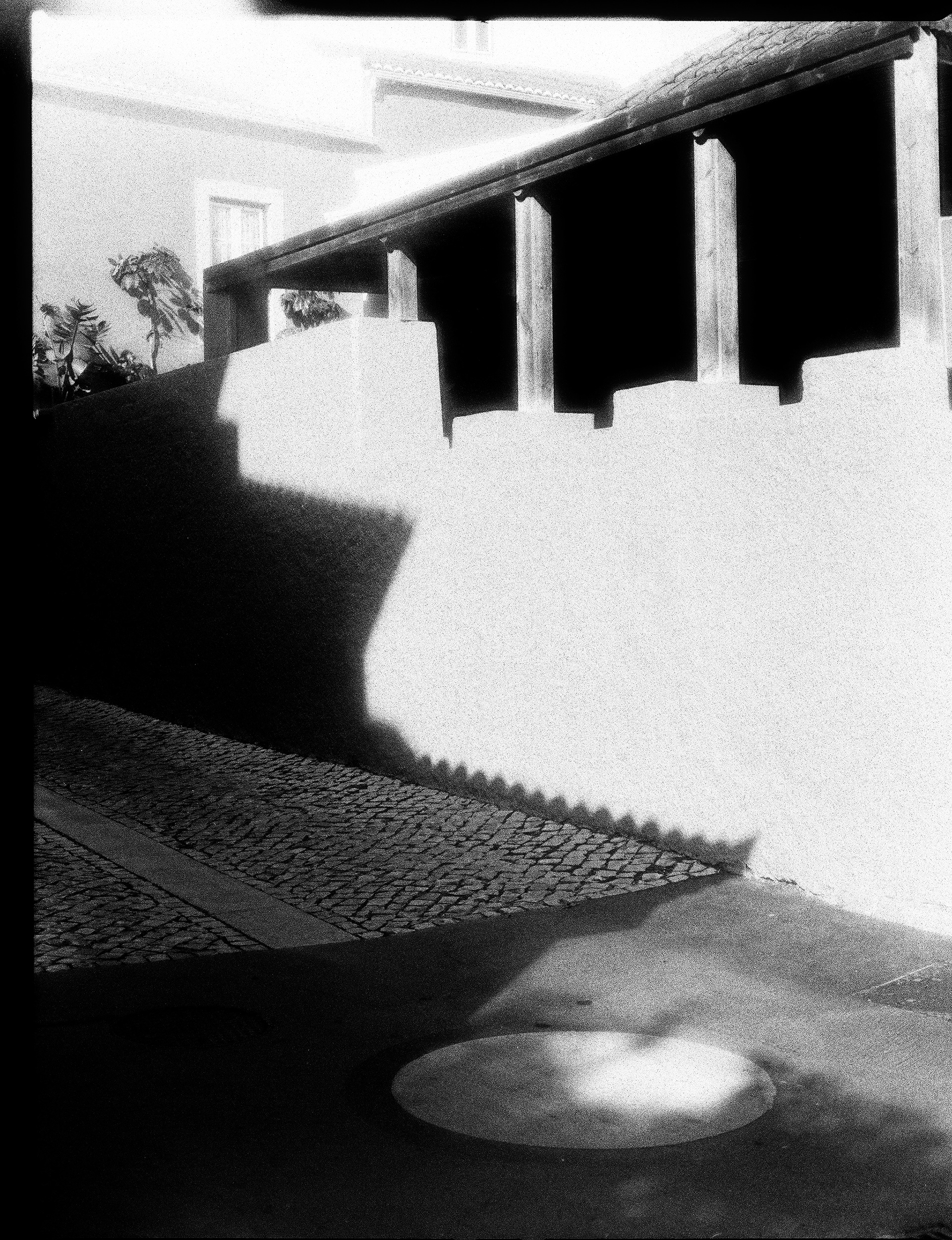 © Alexis Rodríguez Cancino. All Rights Reserved.