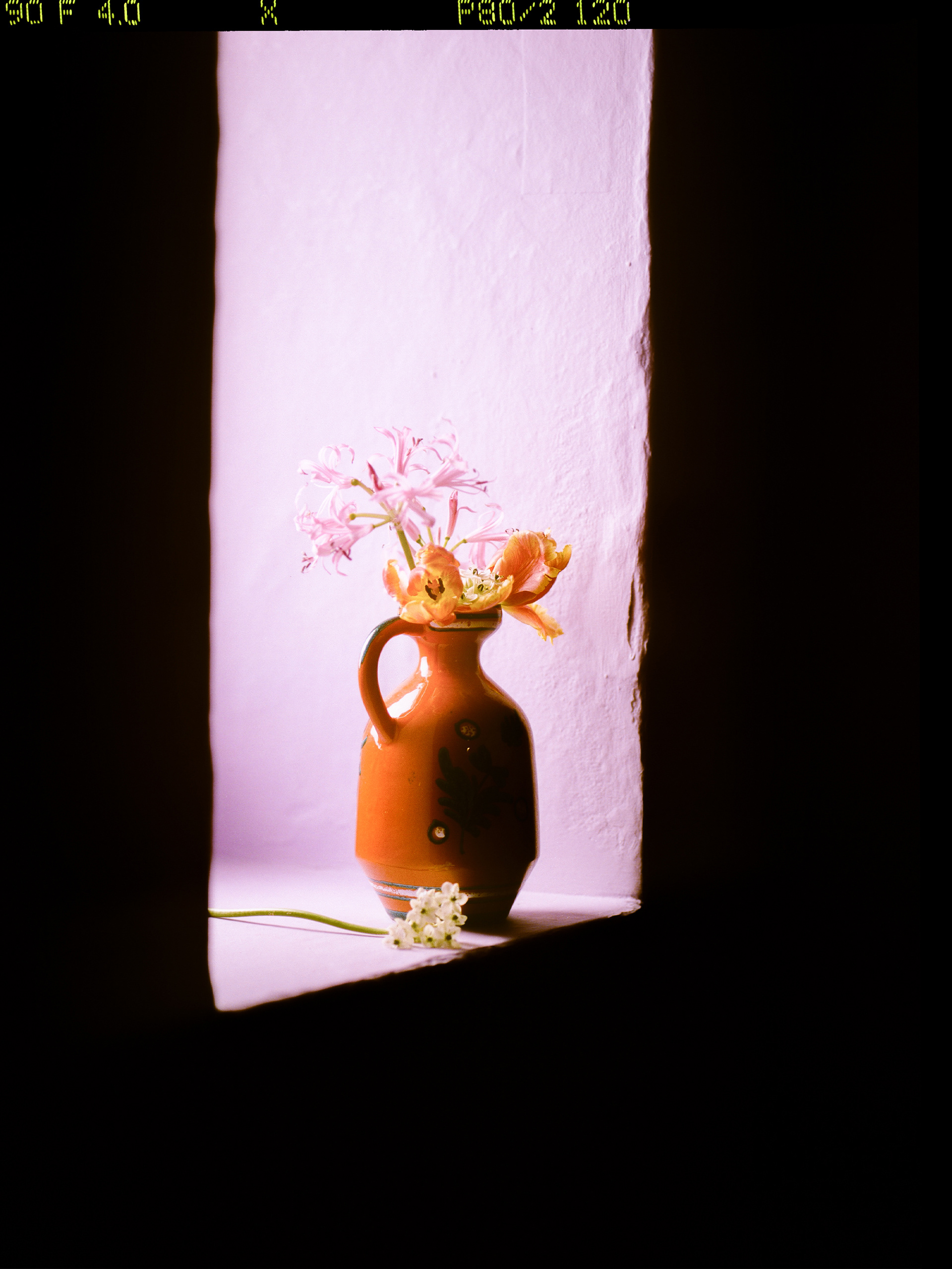 © Alexis Rodríguez Cancino. All Rights Reserved.