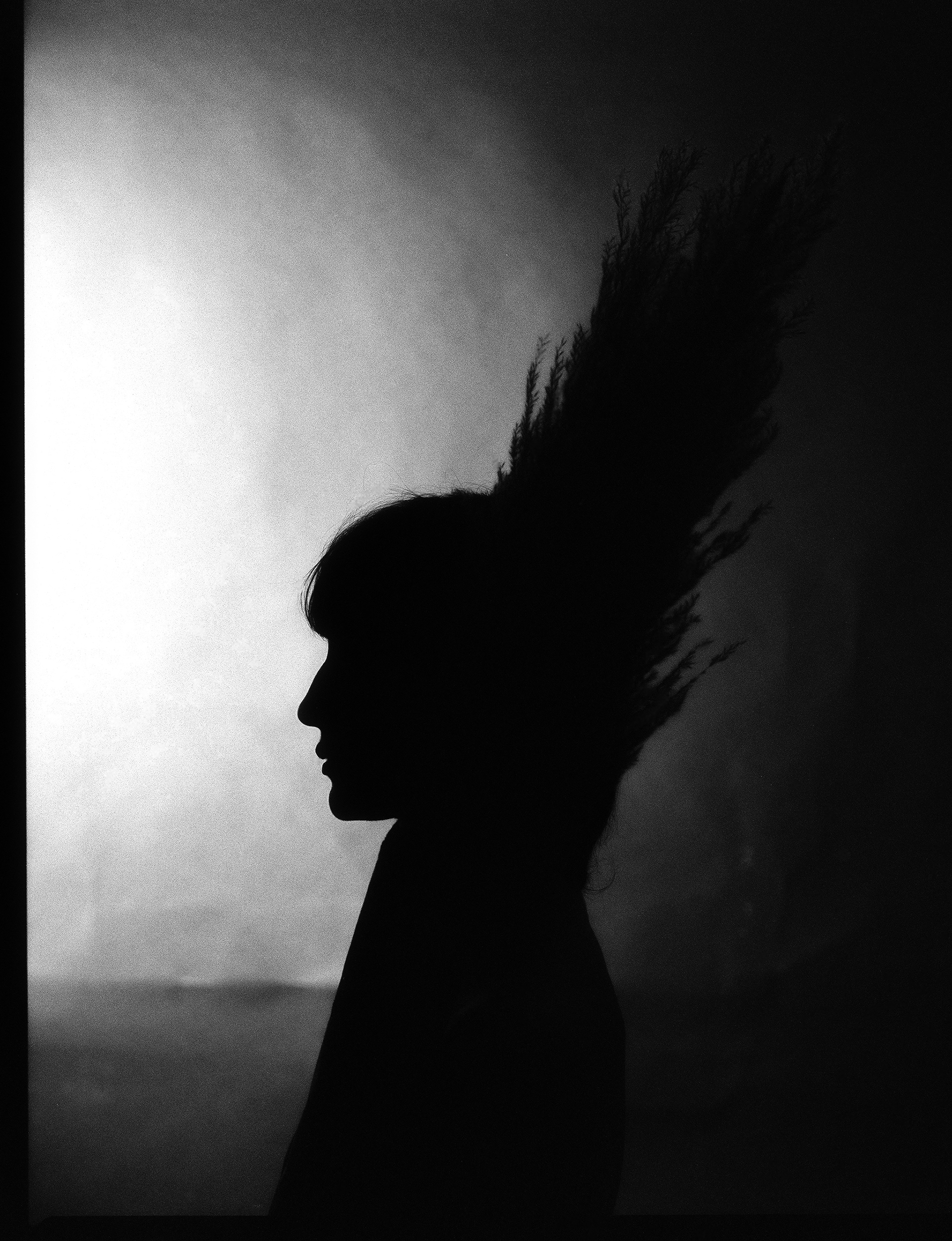 © Alexis Rodríguez Cancino. All Rights Reserved.