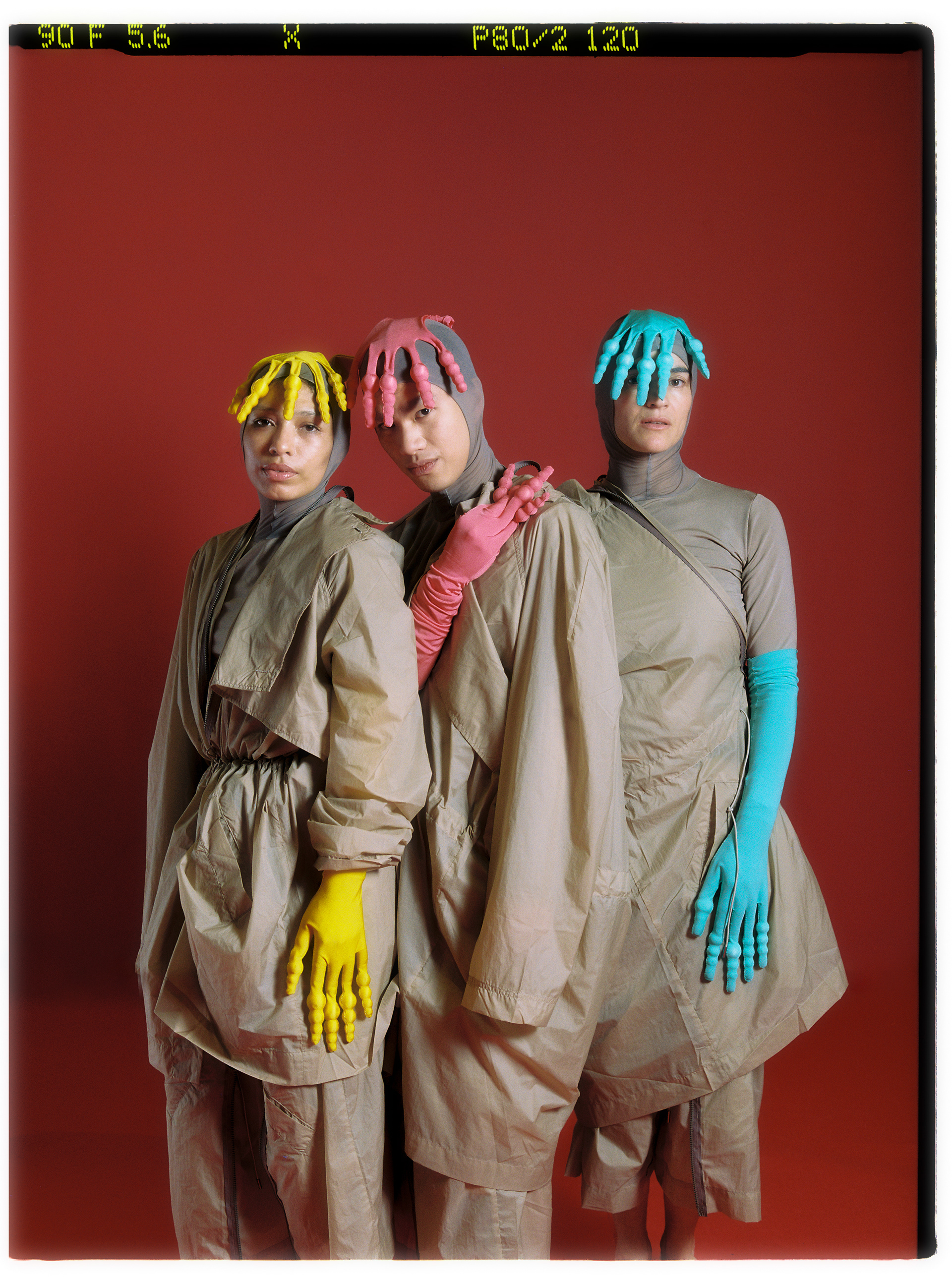 © Alexis Rodríguez Cancino. All Rights Reserved.