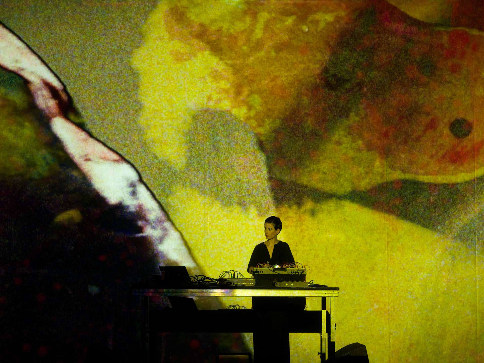 © Alexis Rodríguez Cancino. All Rights Reserved.