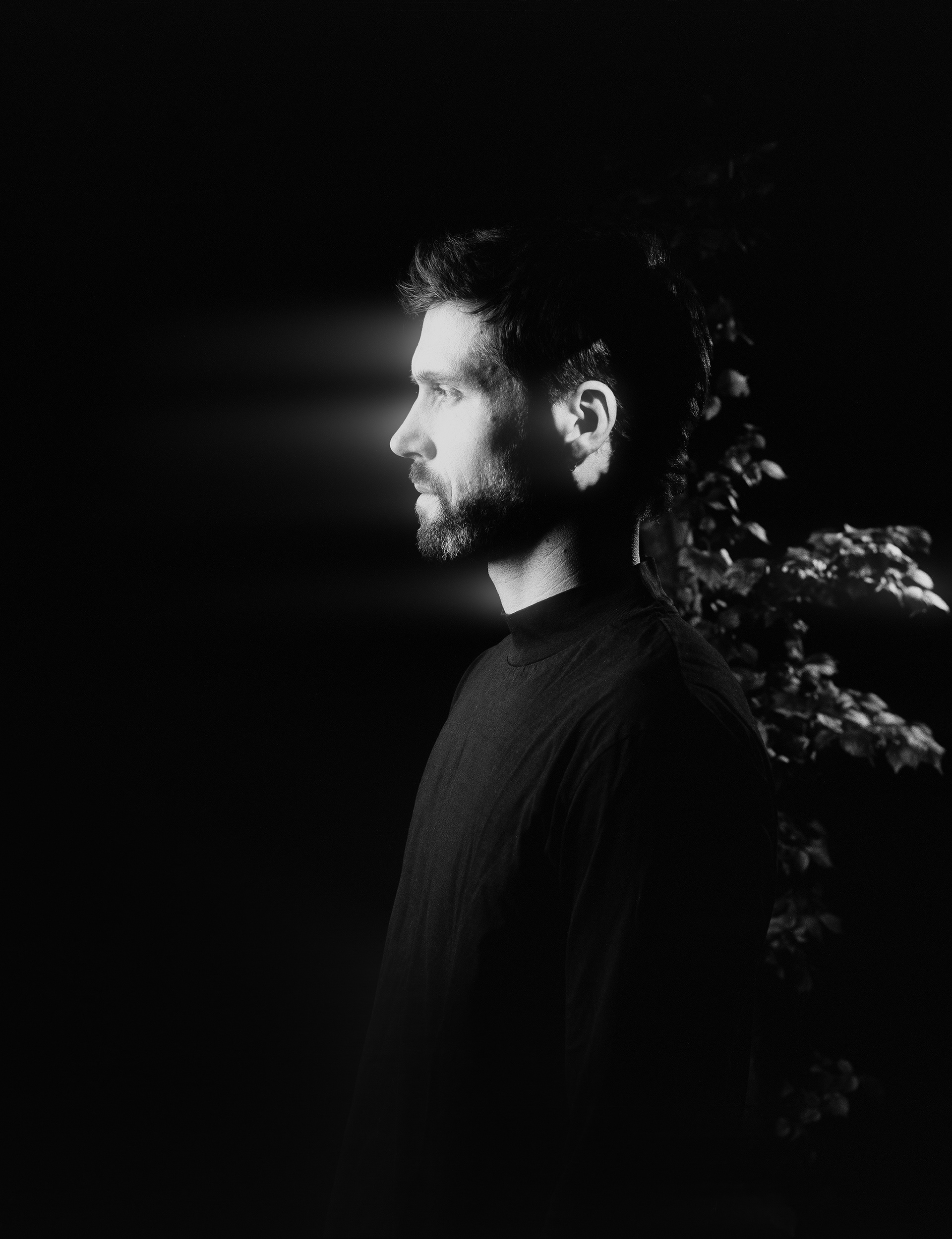 © Alexis Rodríguez Cancino. All Rights Reserved.