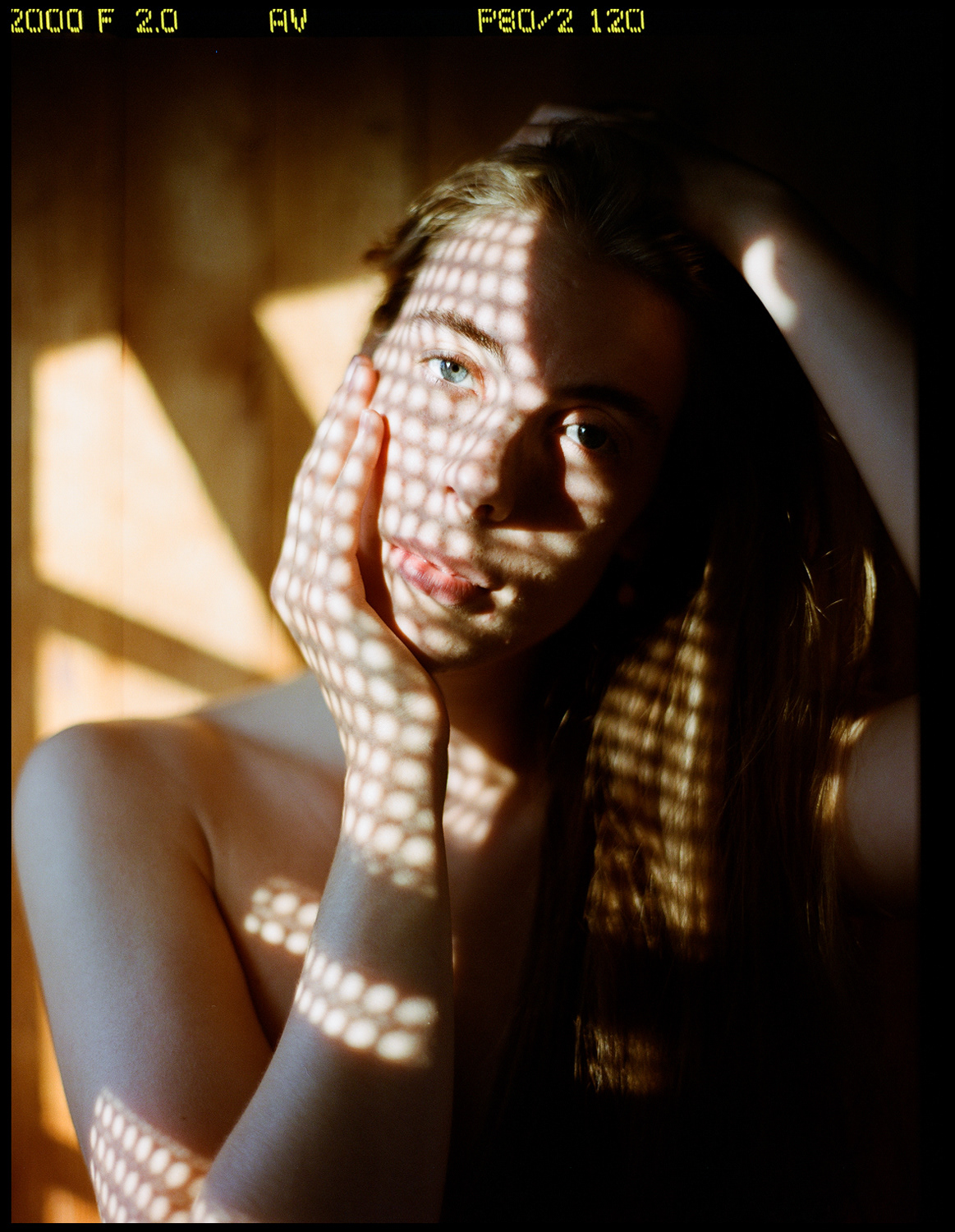 © Alexis Rodríguez Cancino. All Rights Reserved.