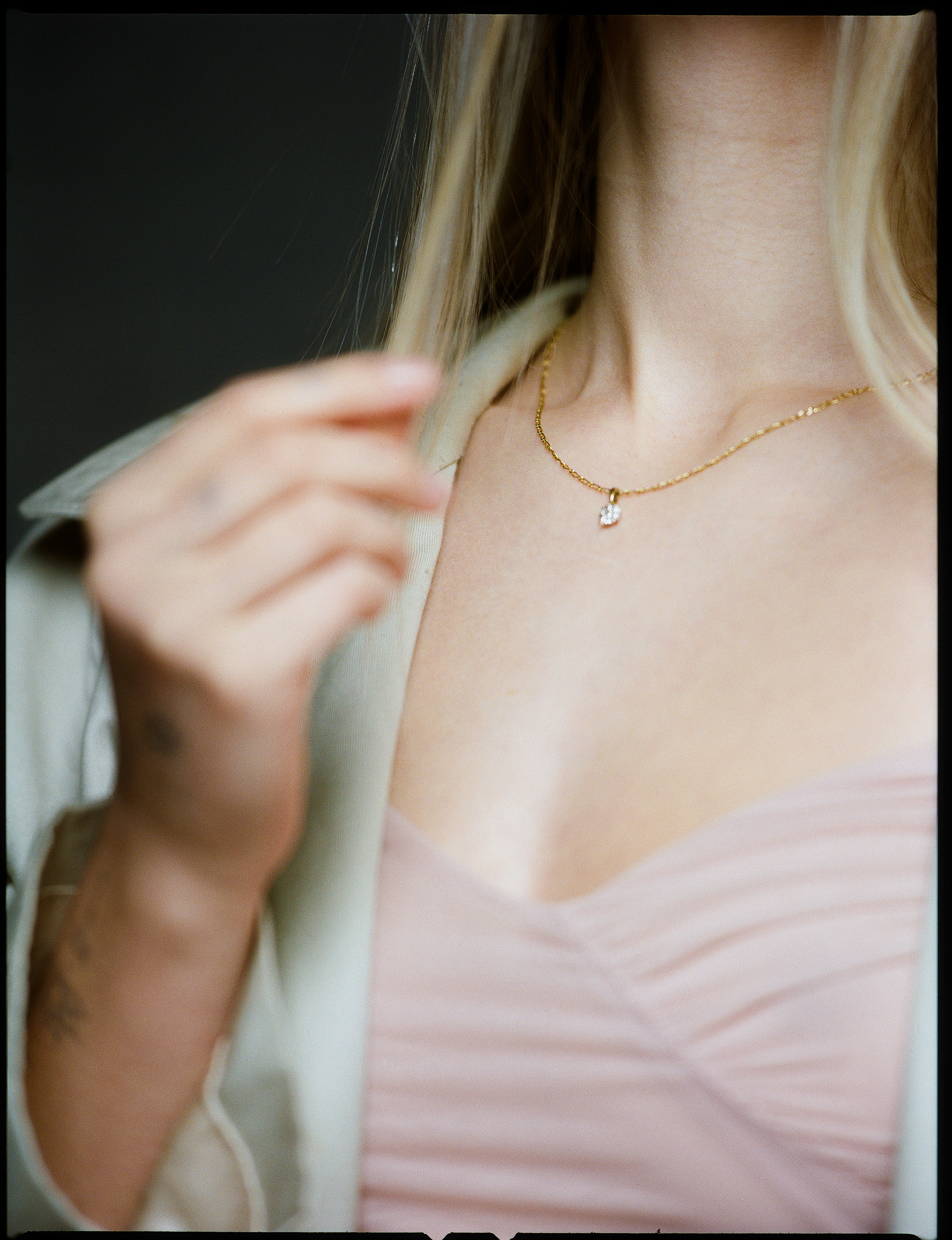 © Alexis Rodríguez Cancino. All Rights Reserved.