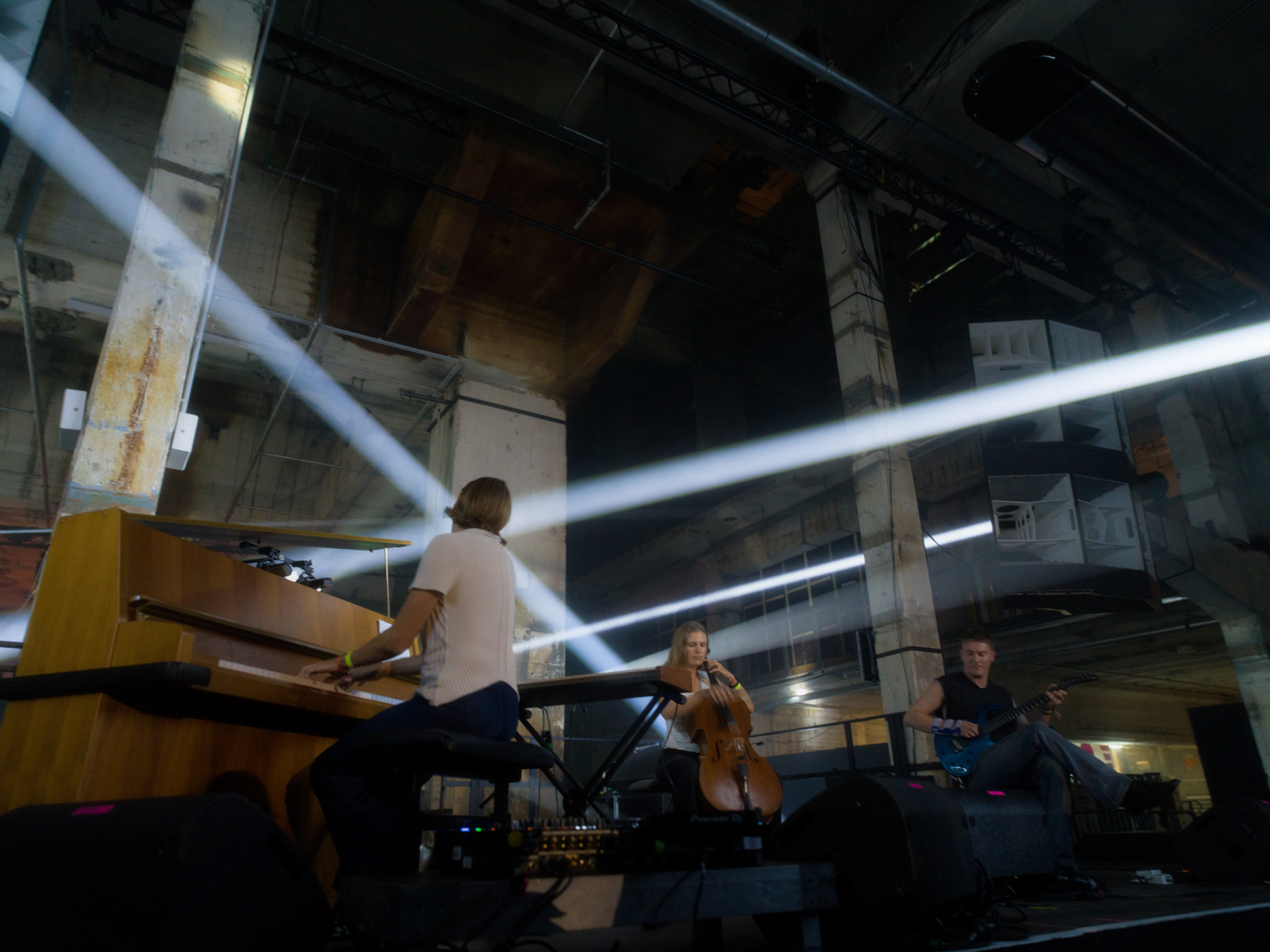 © Alexis Rodríguez Cancino. All Rights Reserved.