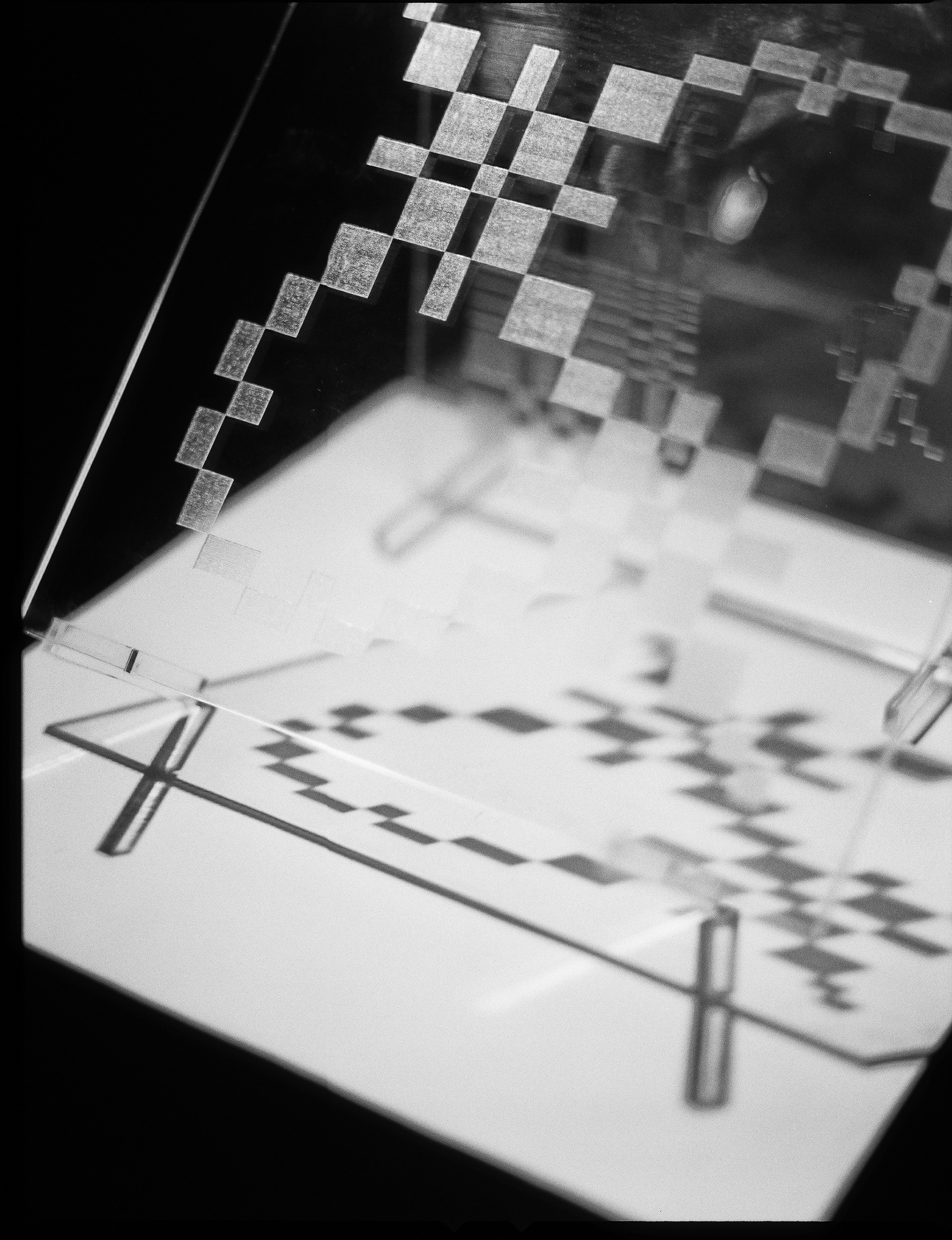 © Alexis Rodríguez Cancino. All Rights Reserved.