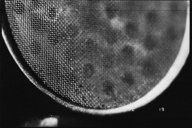 © Alexis Rodríguez Cancino. All Rights Reserved.