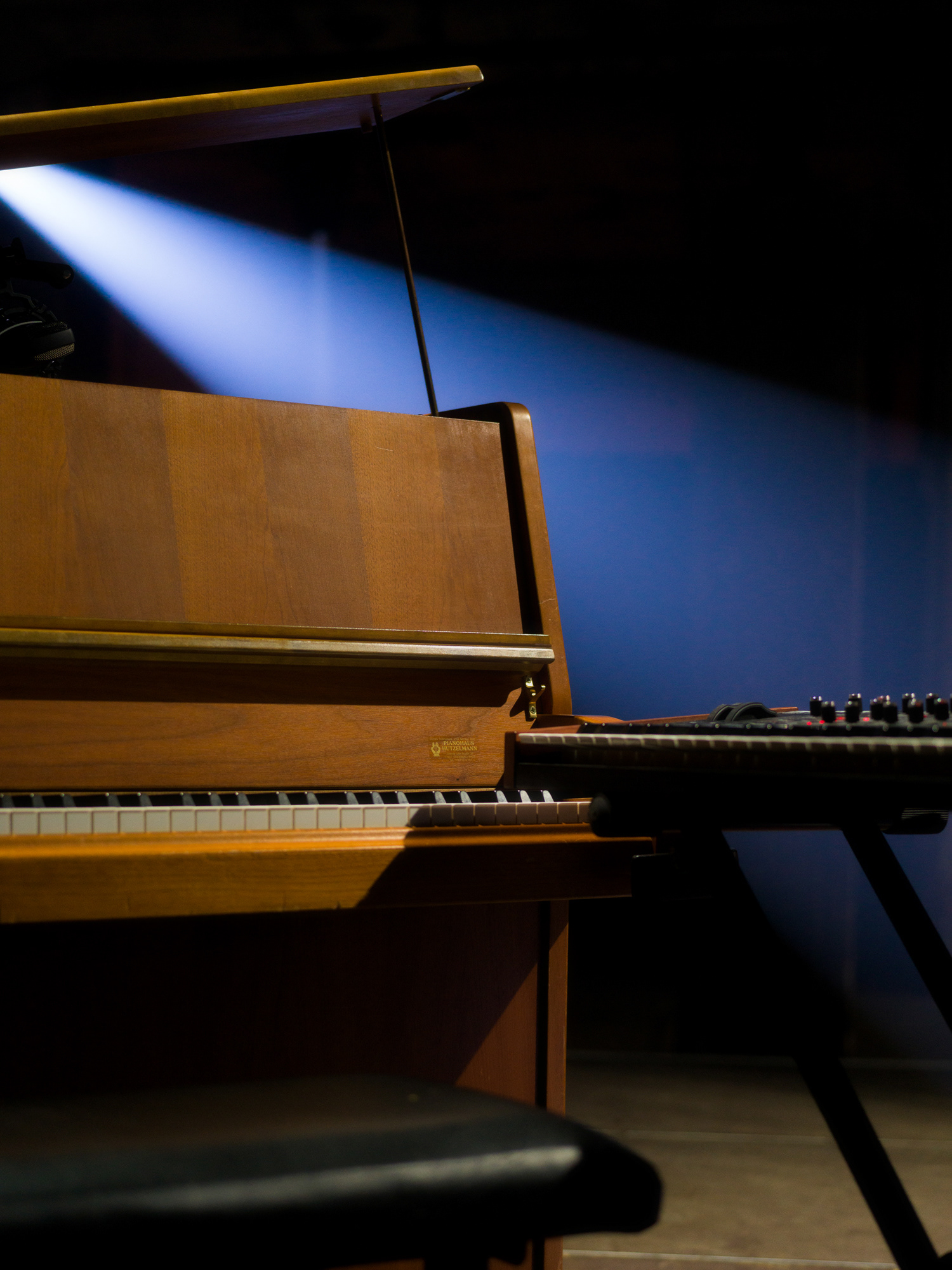 © Alexis Rodríguez Cancino. All Rights Reserved.