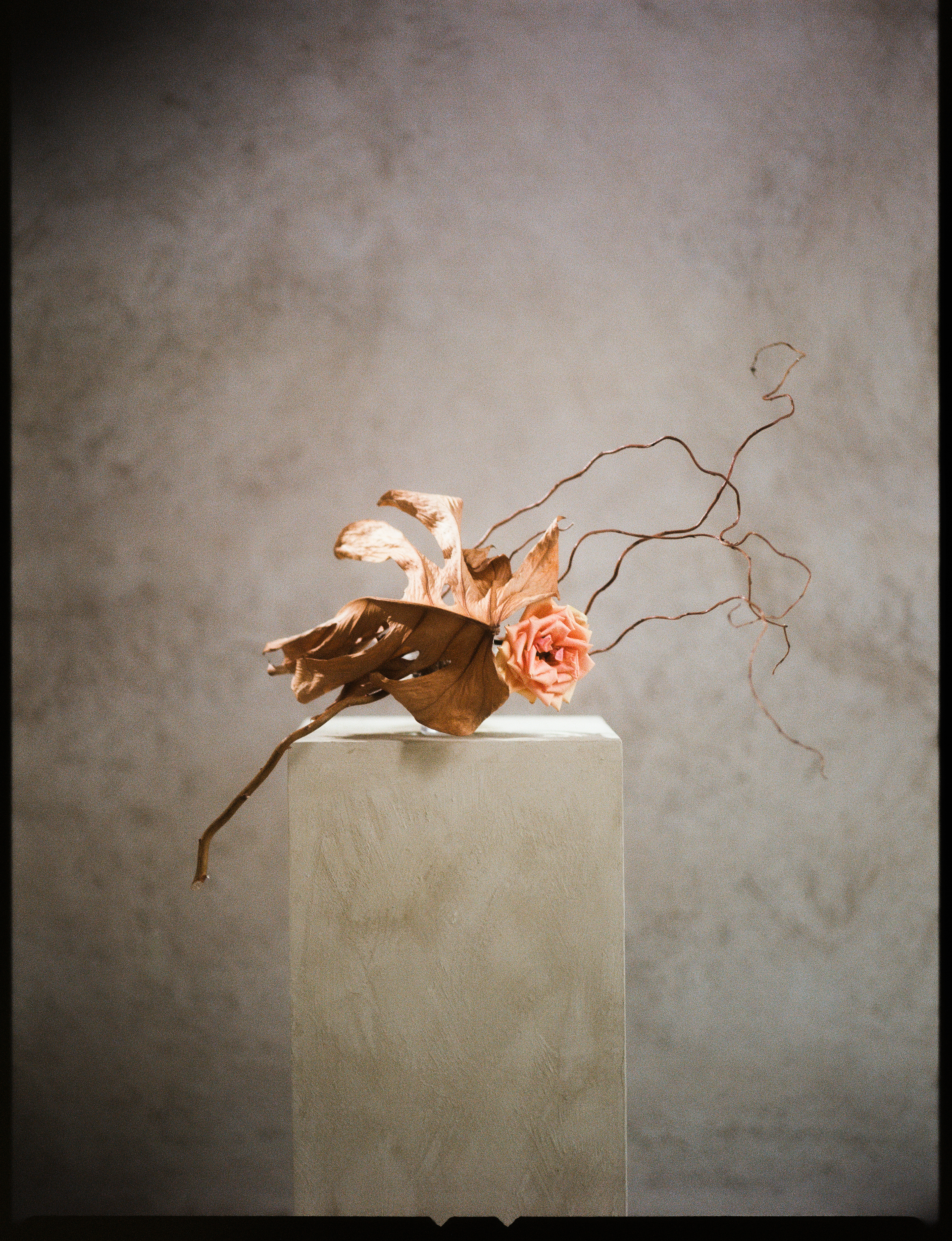 © Alexis Rodríguez Cancino. All Rights Reserved.