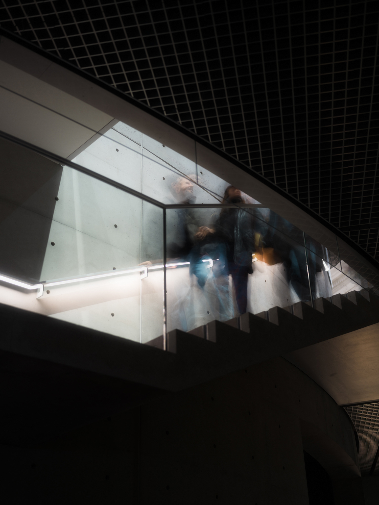 © Alexis Rodríguez Cancino. All Rights Reserved.