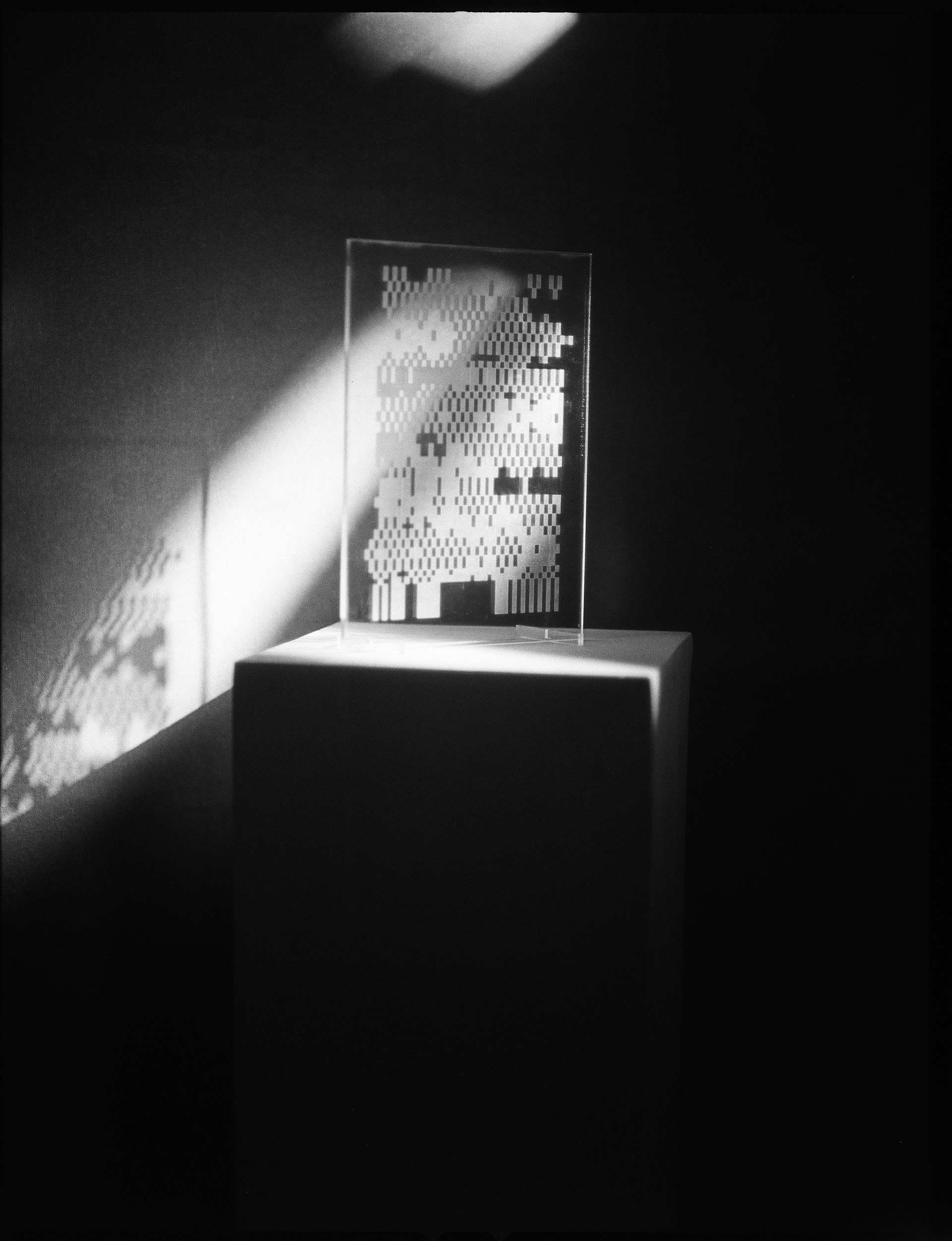 © Alexis Rodríguez Cancino. All Rights Reserved.