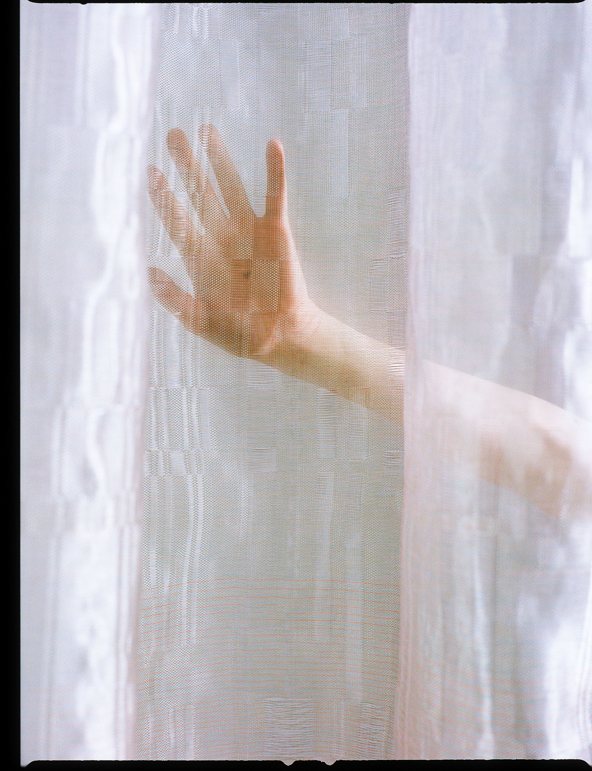 © Alexis Rodríguez Cancino. All Rights Reserved.