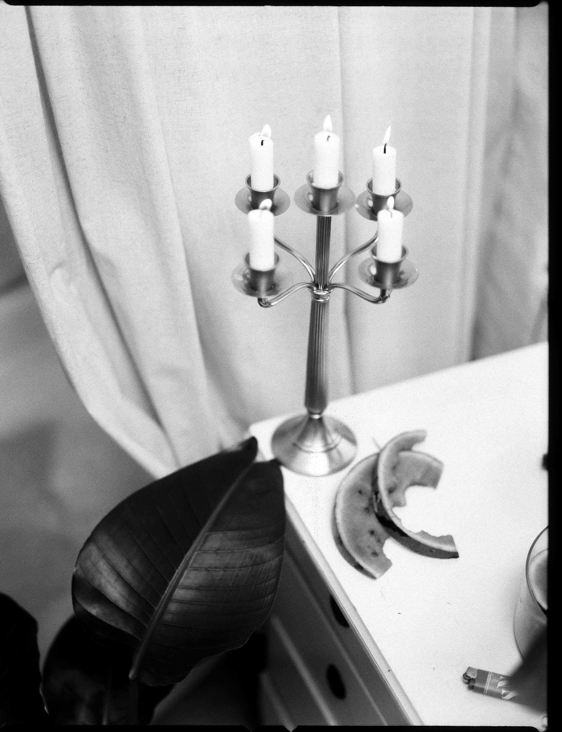 © Alexis Rodríguez Cancino. All Rights Reserved.