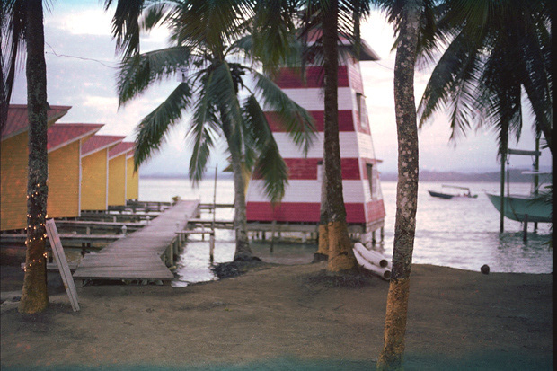 © Alexis Rodríguez Cancino. All Rights Reserved.