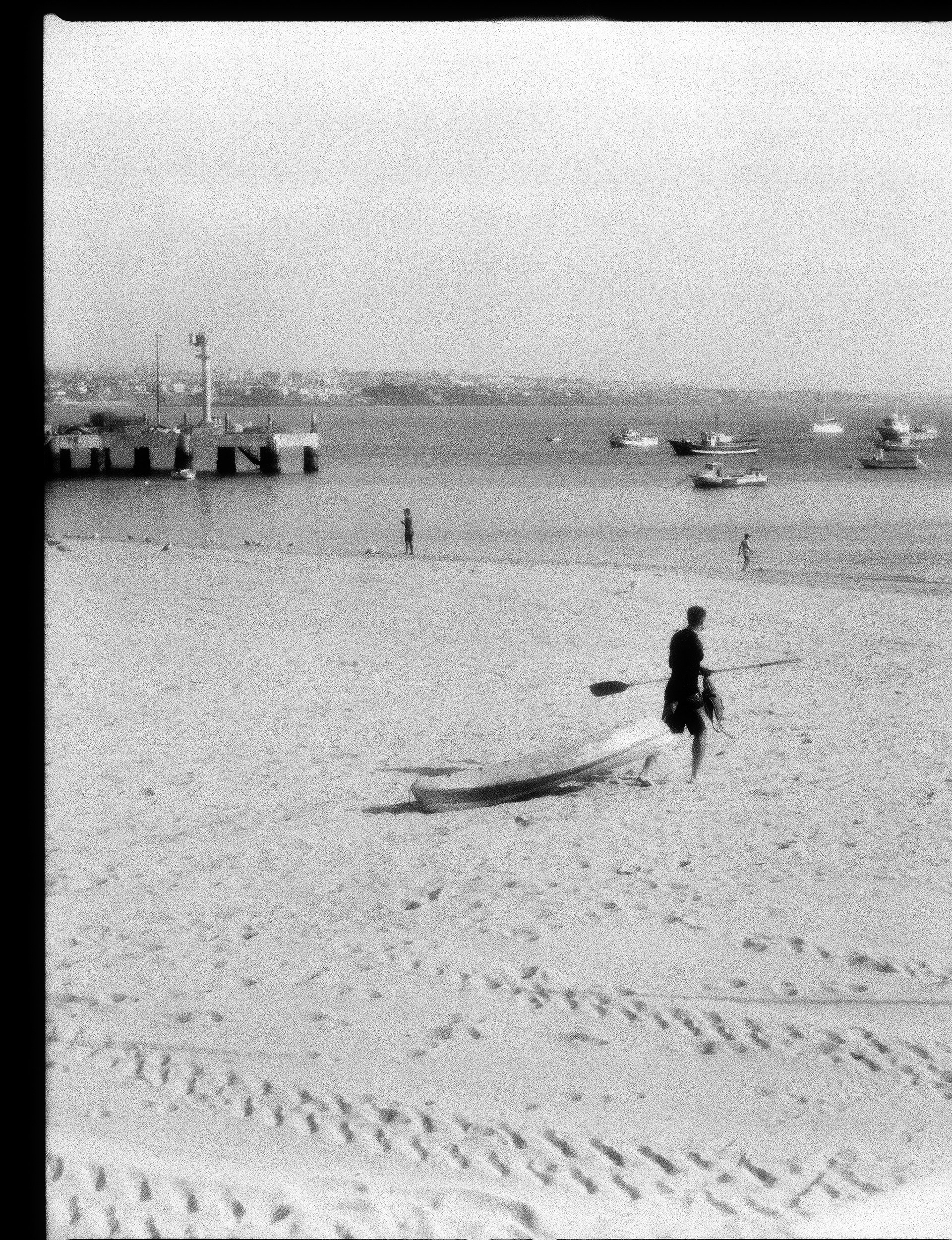 © Alexis Rodríguez Cancino. All Rights Reserved.