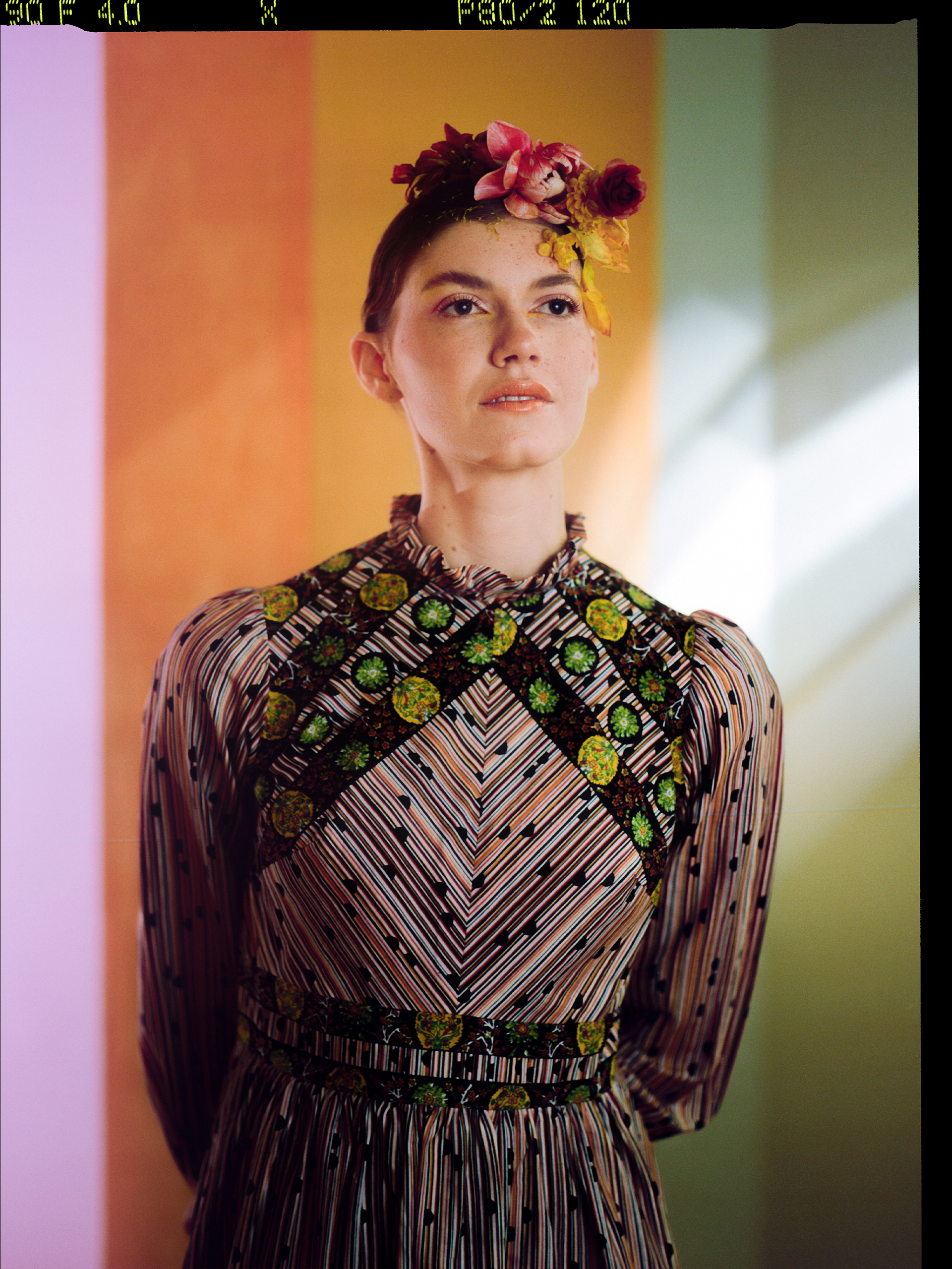 © Alexis Rodríguez Cancino. All Rights Reserved.