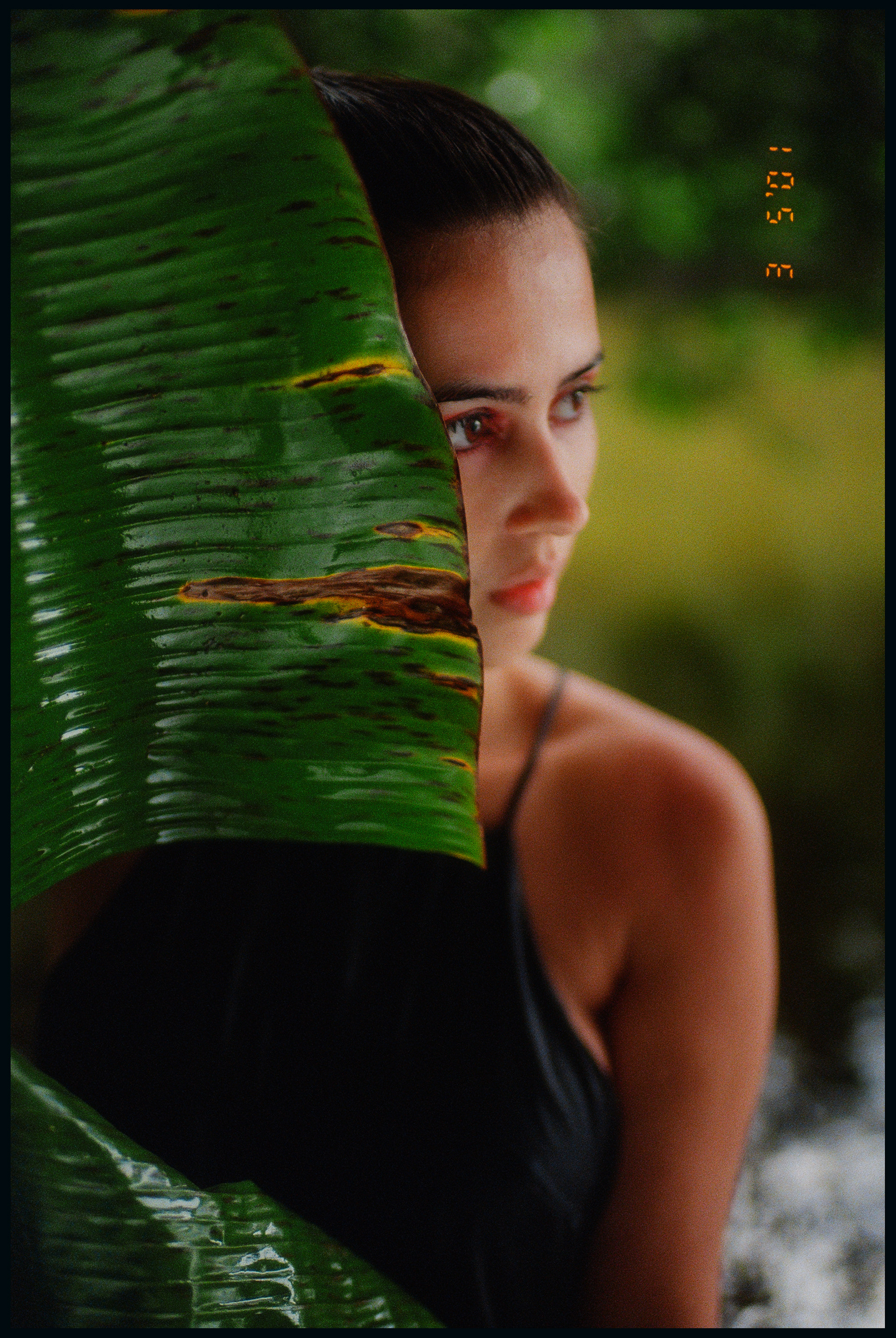 © Alexis Rodríguez Cancino. All Rights Reserved.