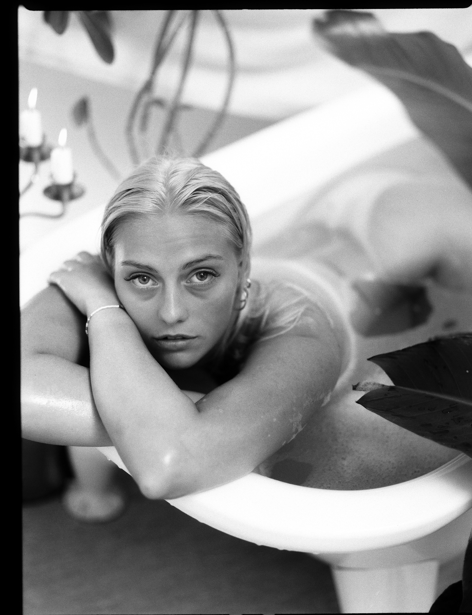 © Alexis Rodríguez Cancino. All Rights Reserved.