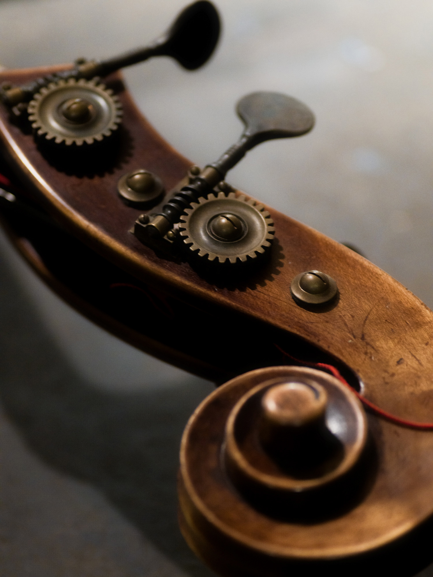 © Alexis Rodríguez Cancino. All Rights Reserved.